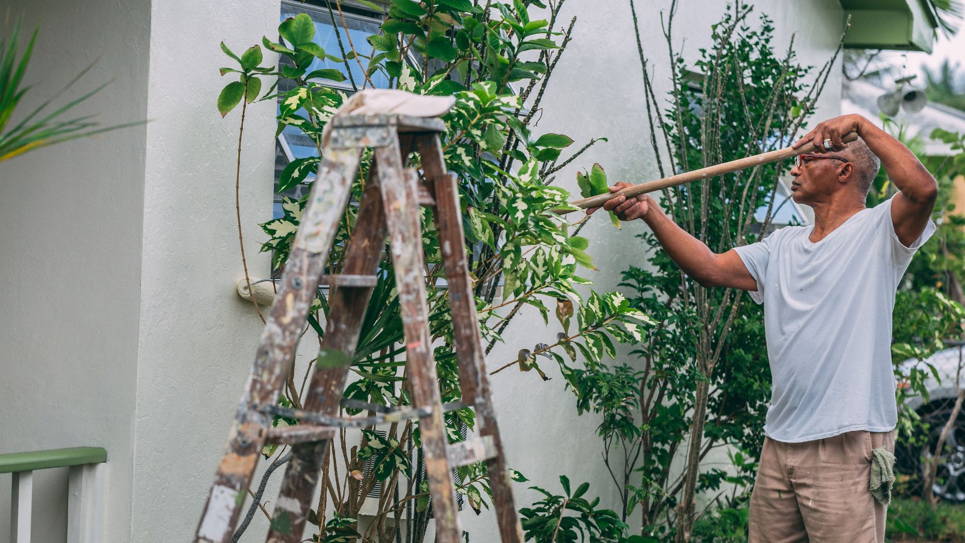 An adult man paints a house wall outdoors with a roller and ladder in a garden.