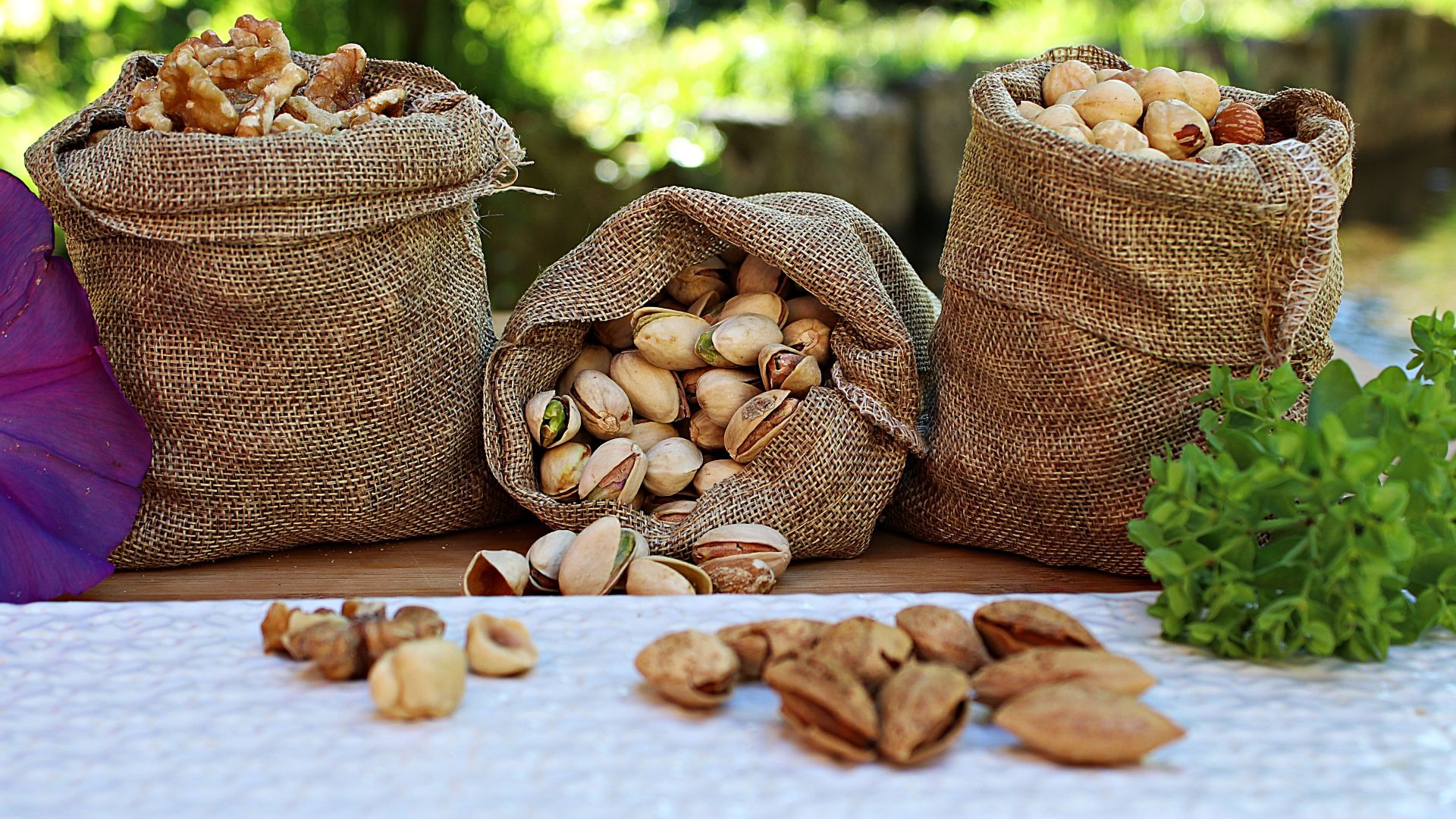 Jute sacks with pistachios walnuts and peanuts placed on wooden table in park near pond on sunny day