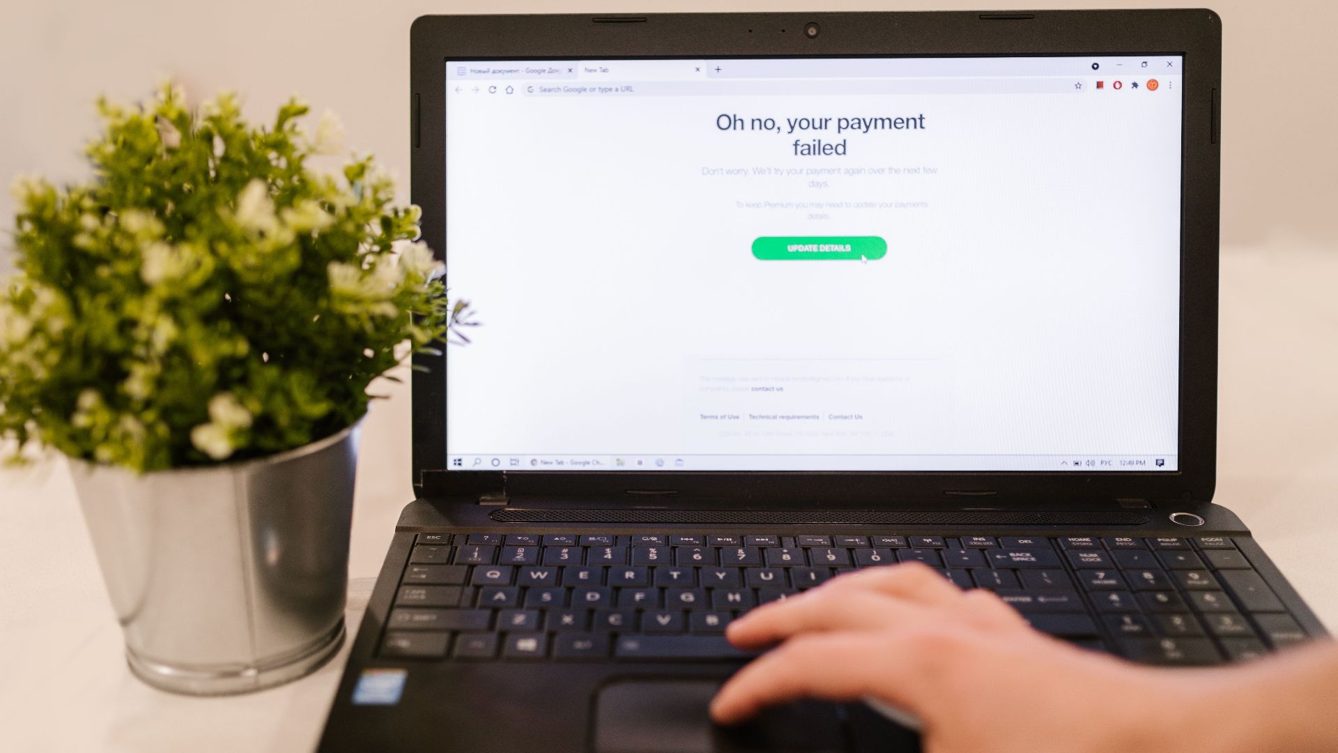 Person using laptop with payment failure message on screen and plant beside it.