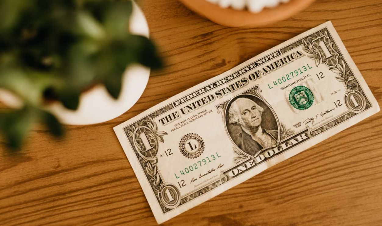 A US one dollar bill placed on a wooden table with a blurred plant nearby