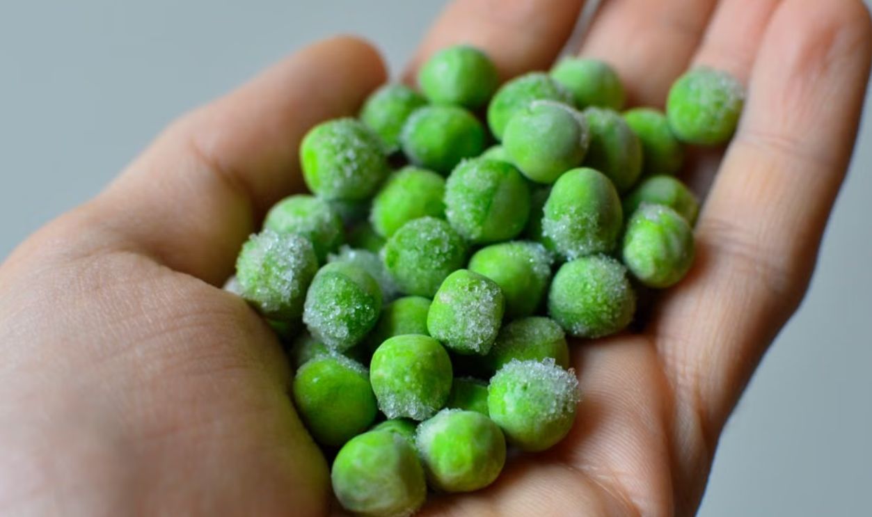 Close-up of a hand holding frozen green peas, showcasing freshness and texture