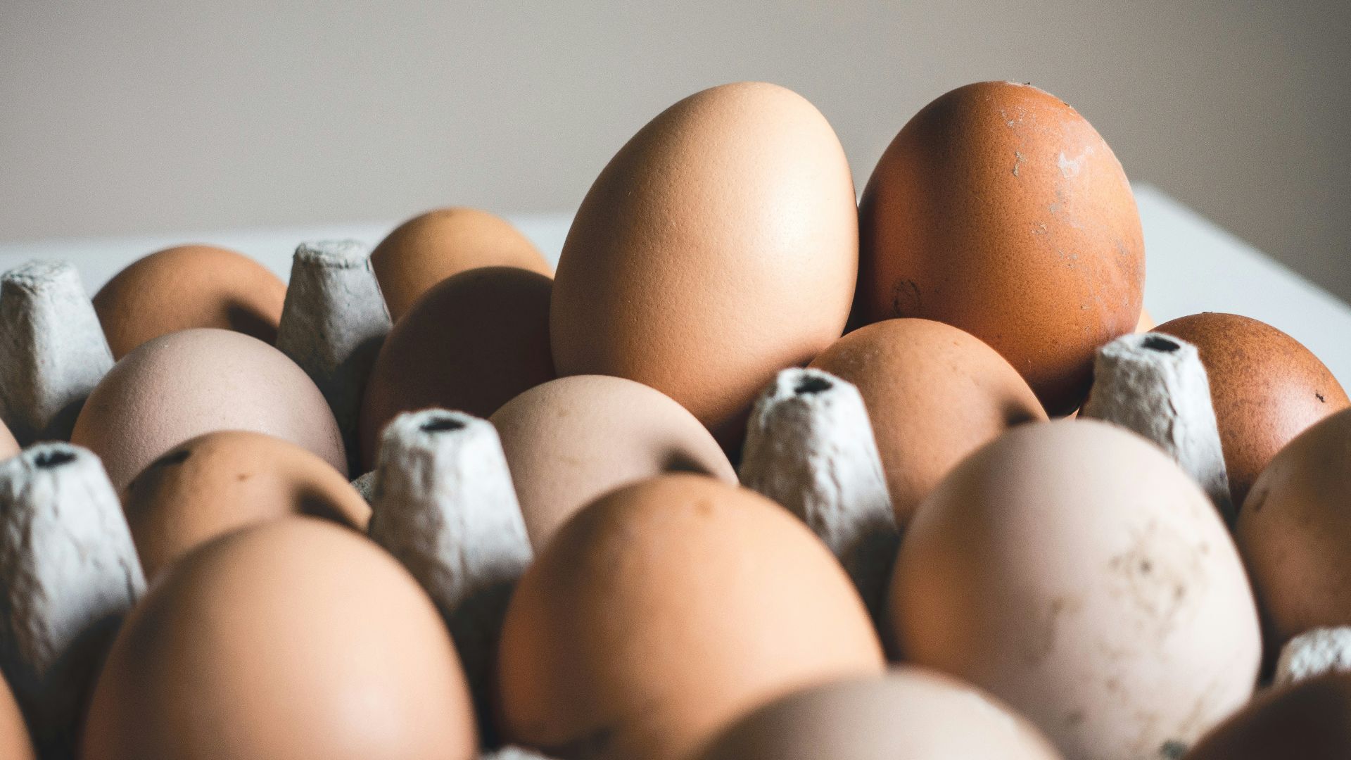 shallow focus photography of brown eggs