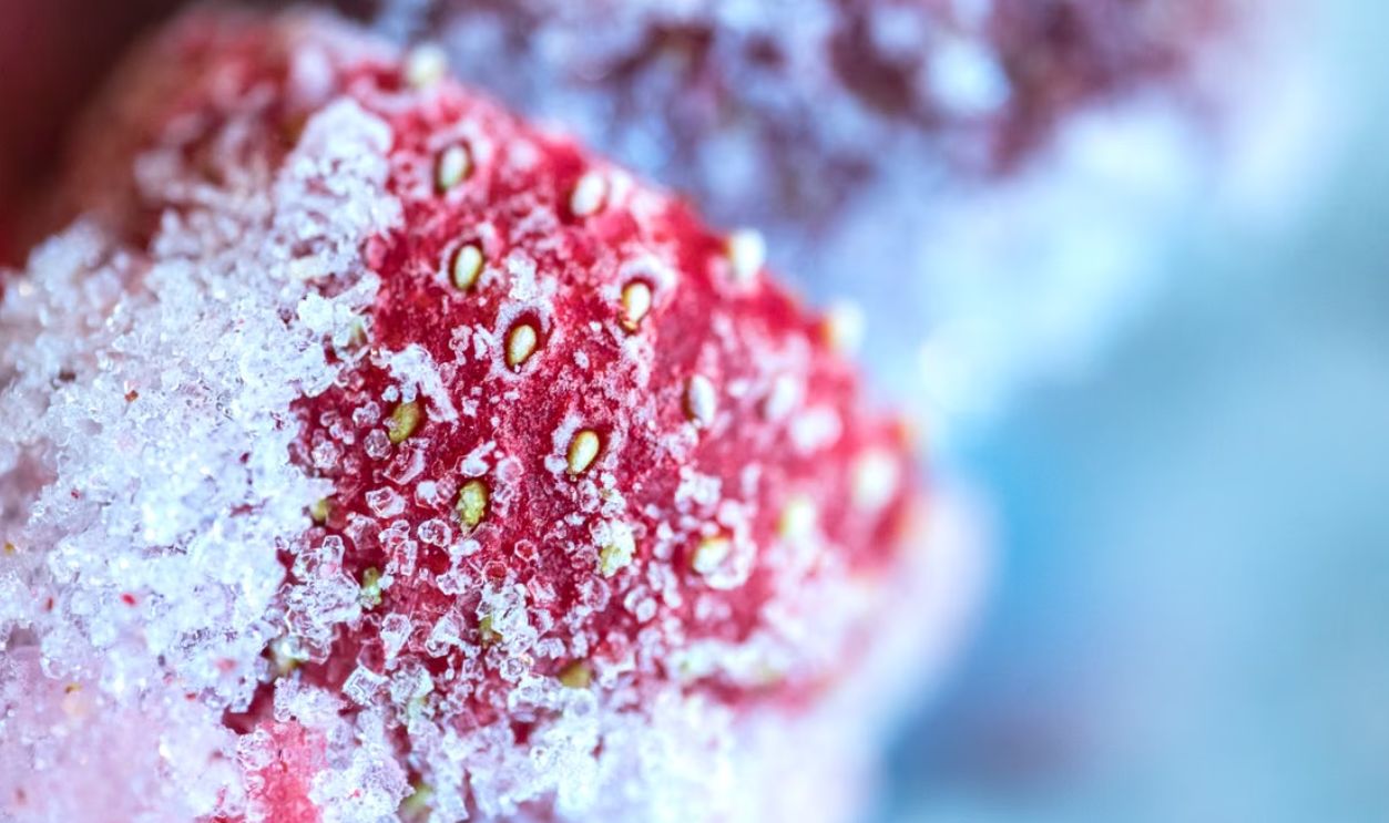 Detailed macro shot of a frozen strawberry covered in ice crystals, showcasing texture