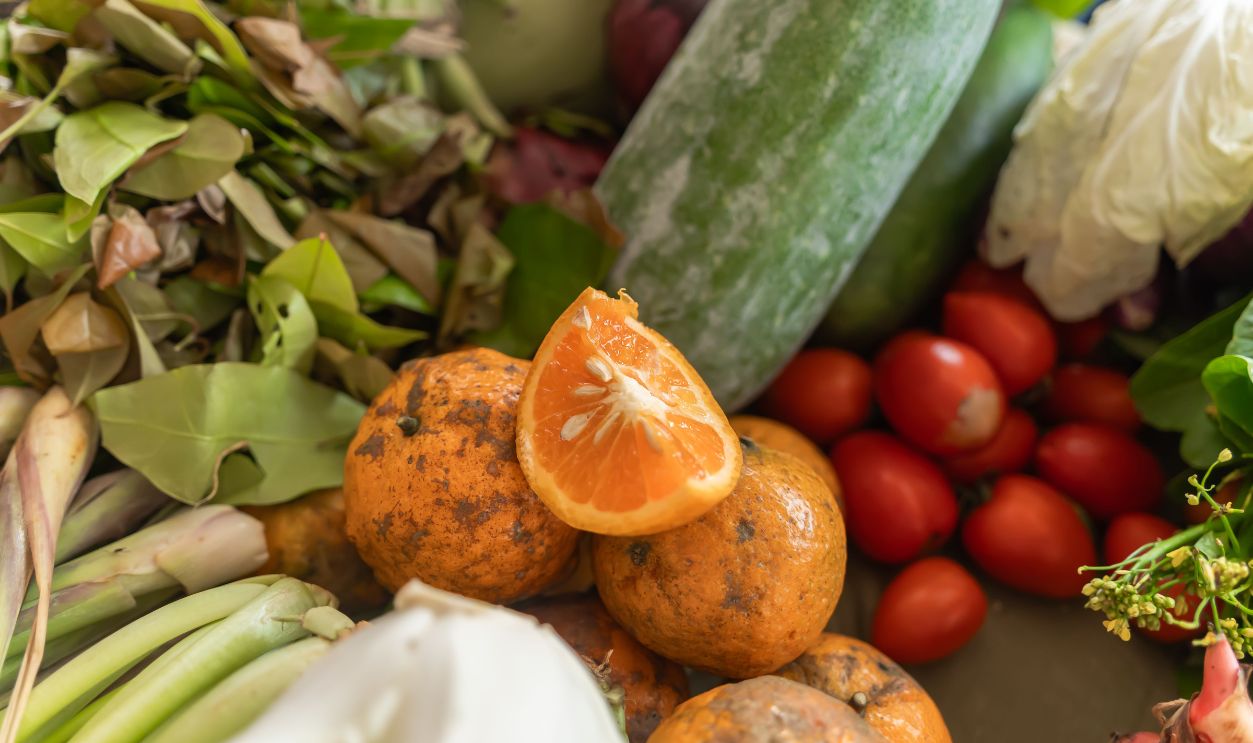 Colorful assortment of fresh organic vegetables and fruits including oranges, cucumbers, and tomatoes