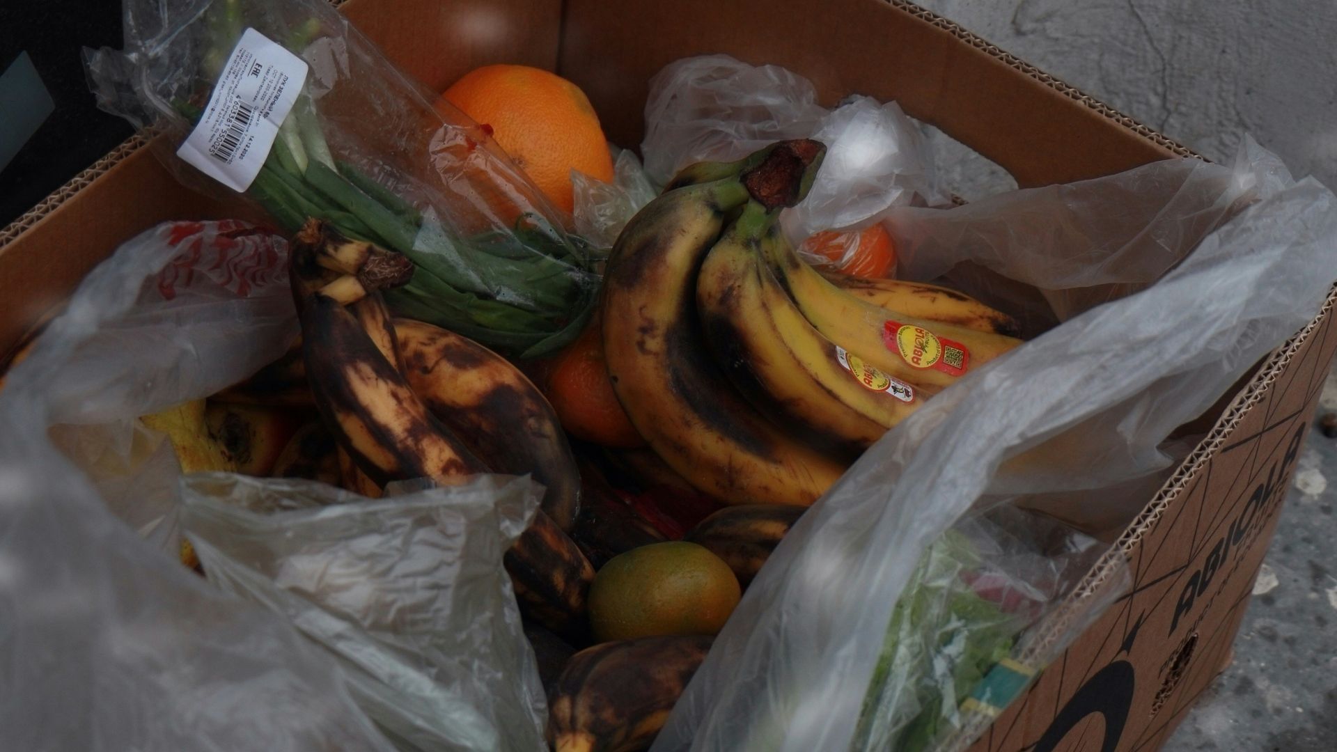 orange fruits on brown cardboard box