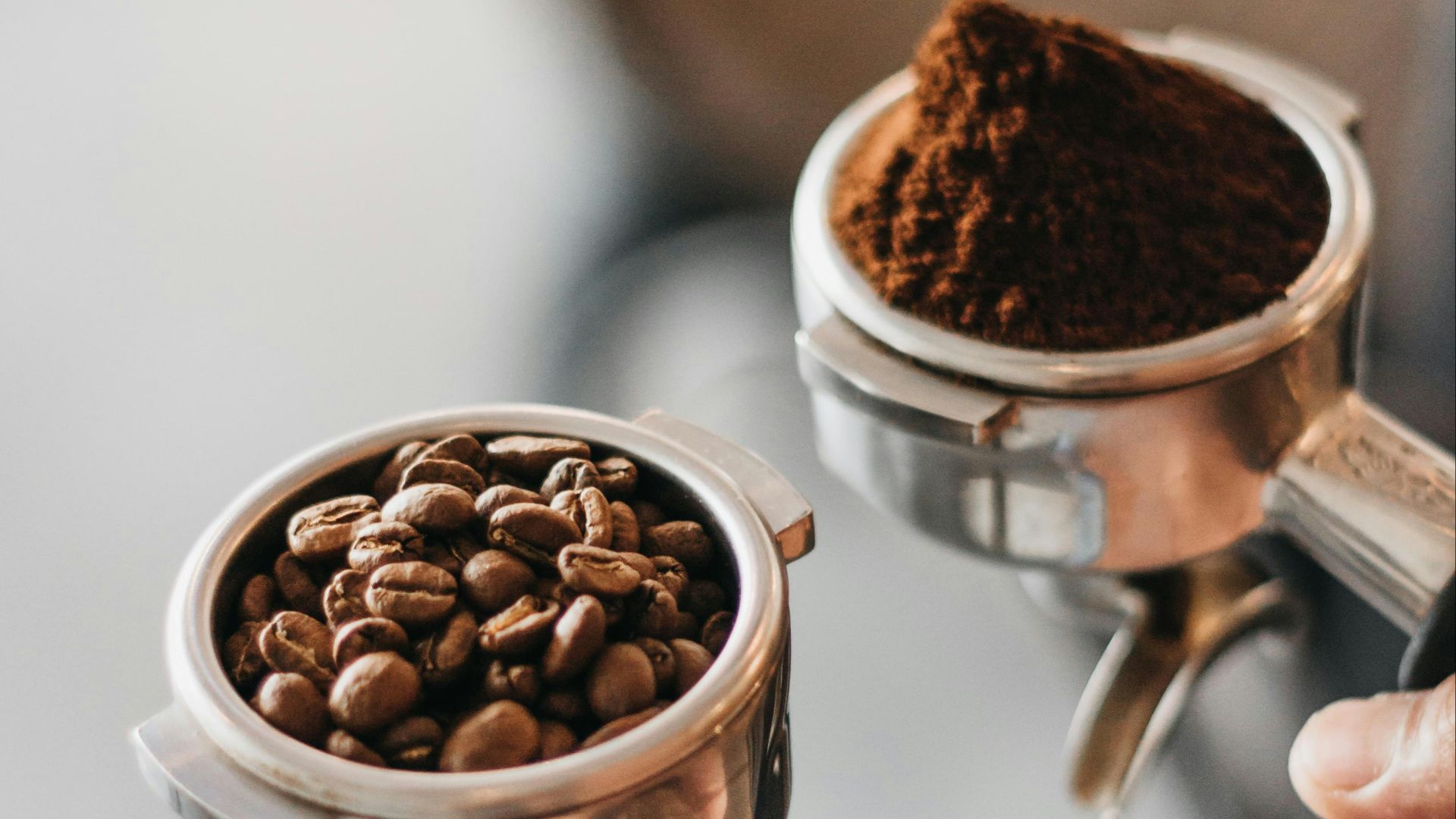 A person holding two portafilters filled with roasted coffee beans and ground coffee