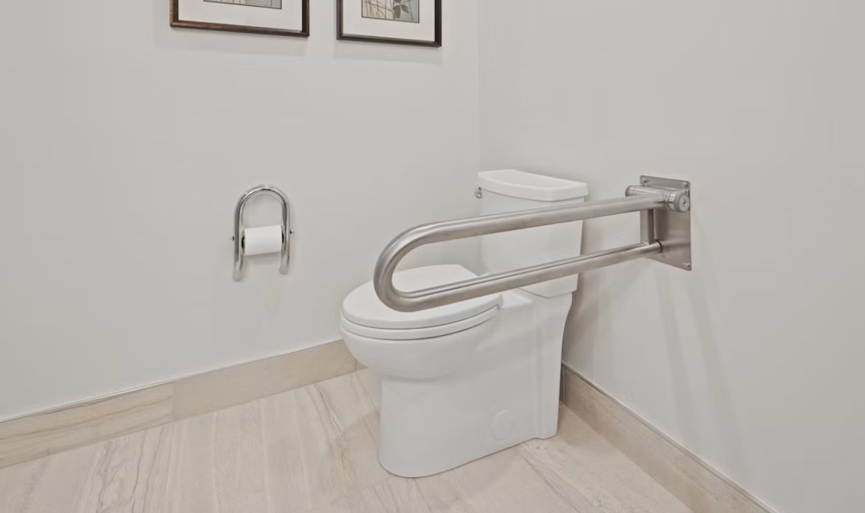 a toilet with a metal bar