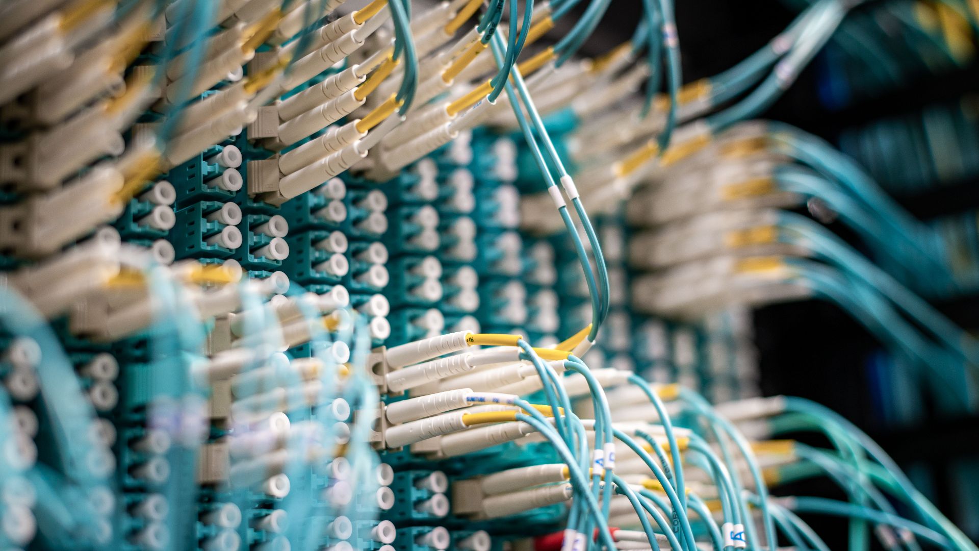 From below of fiber optic switch with sockets and connected rubber cables on blurred background