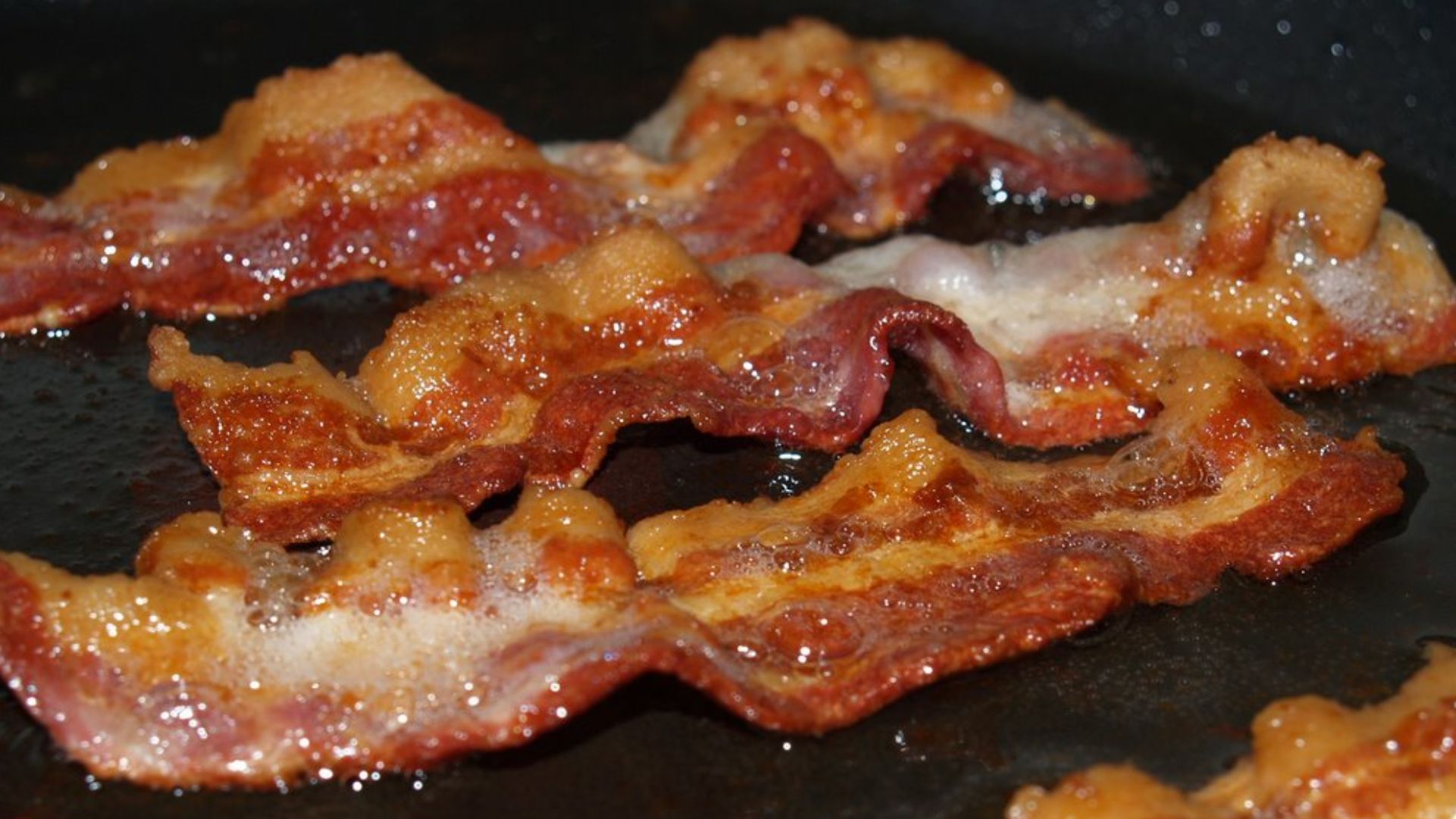 Bacon