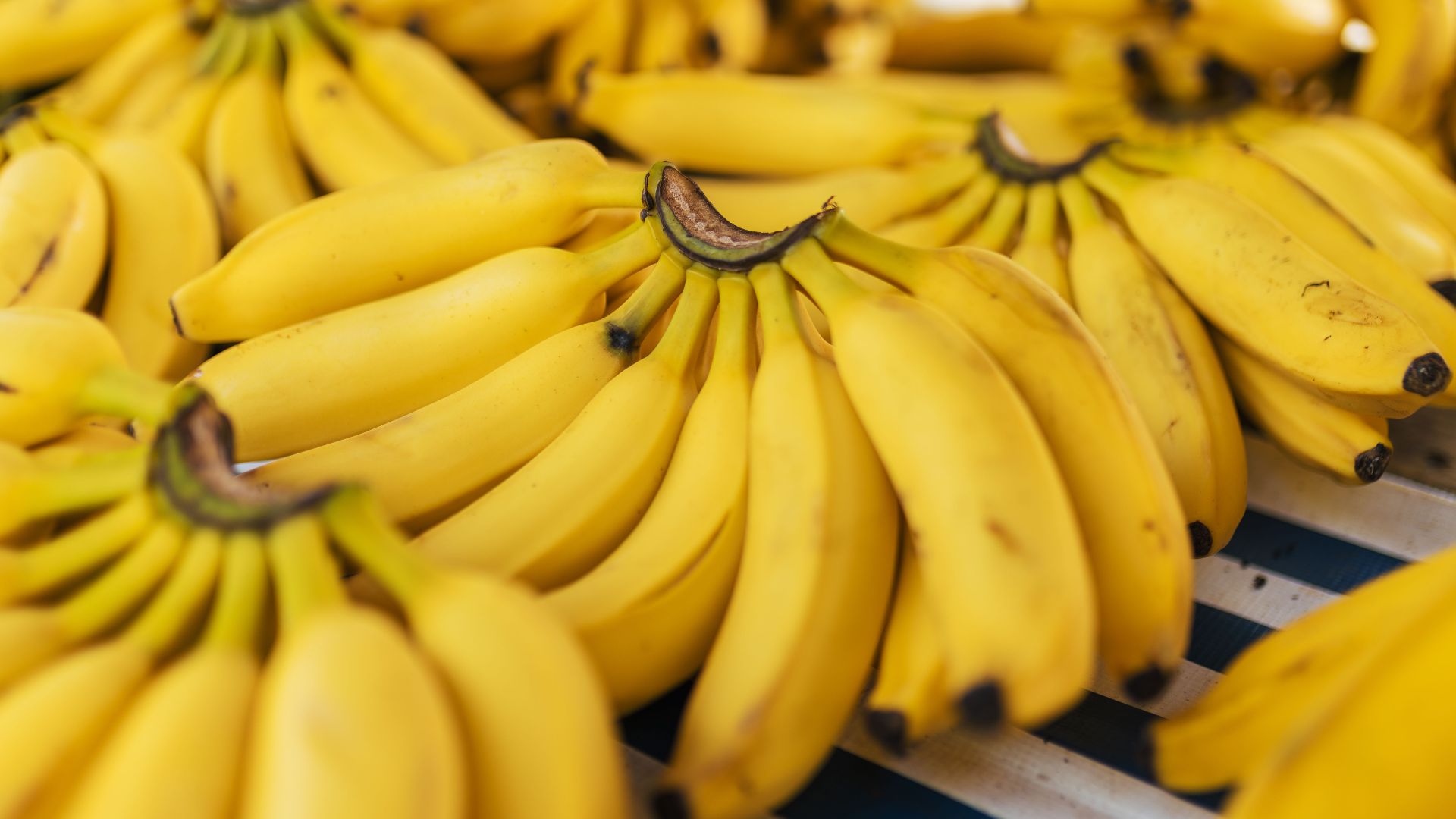 Bunches of ripe yellow bananas displayed on a market stall. Perfect for healthy eating concepts.