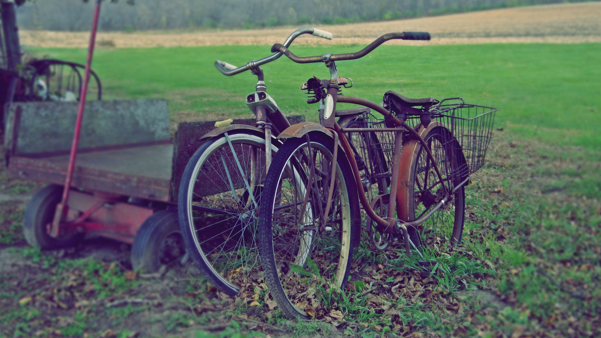 His and Hers Vintage Schwinn Touring Bicycles