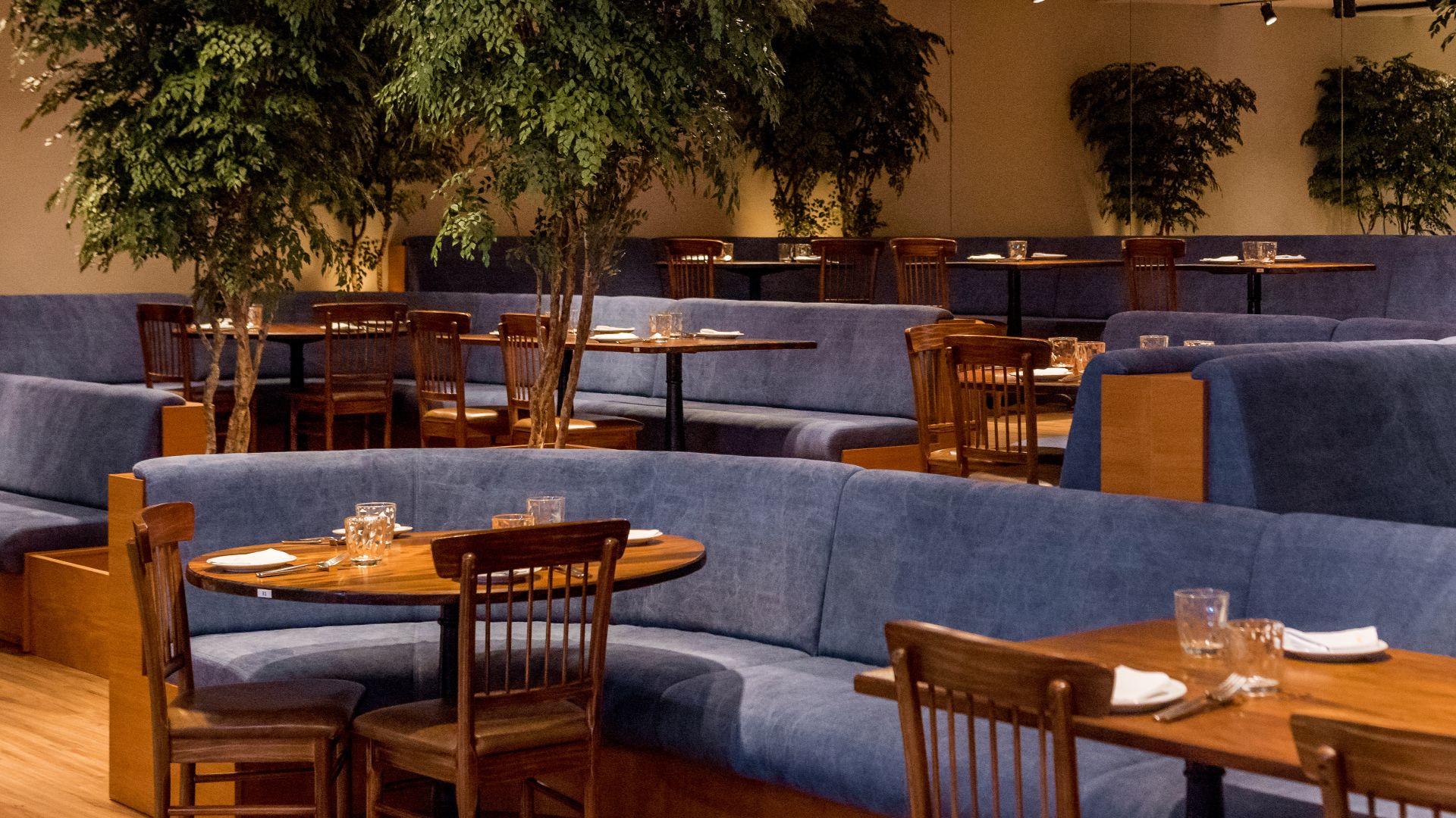 Fotografia da área de assentos em cabine do restaurante Giuseppe Square, localizado no Barra Shopping, Rio de Janeiro, Brasil. A imagem mostra um ambiente acolhedor e sofisticado, com cabines estofadas em azul profundo e mesas de madeira escura. Árvores d