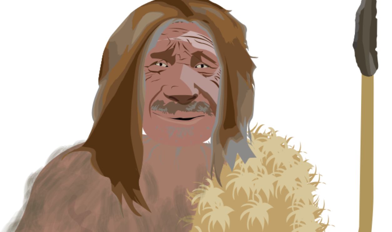 Homo sapiens