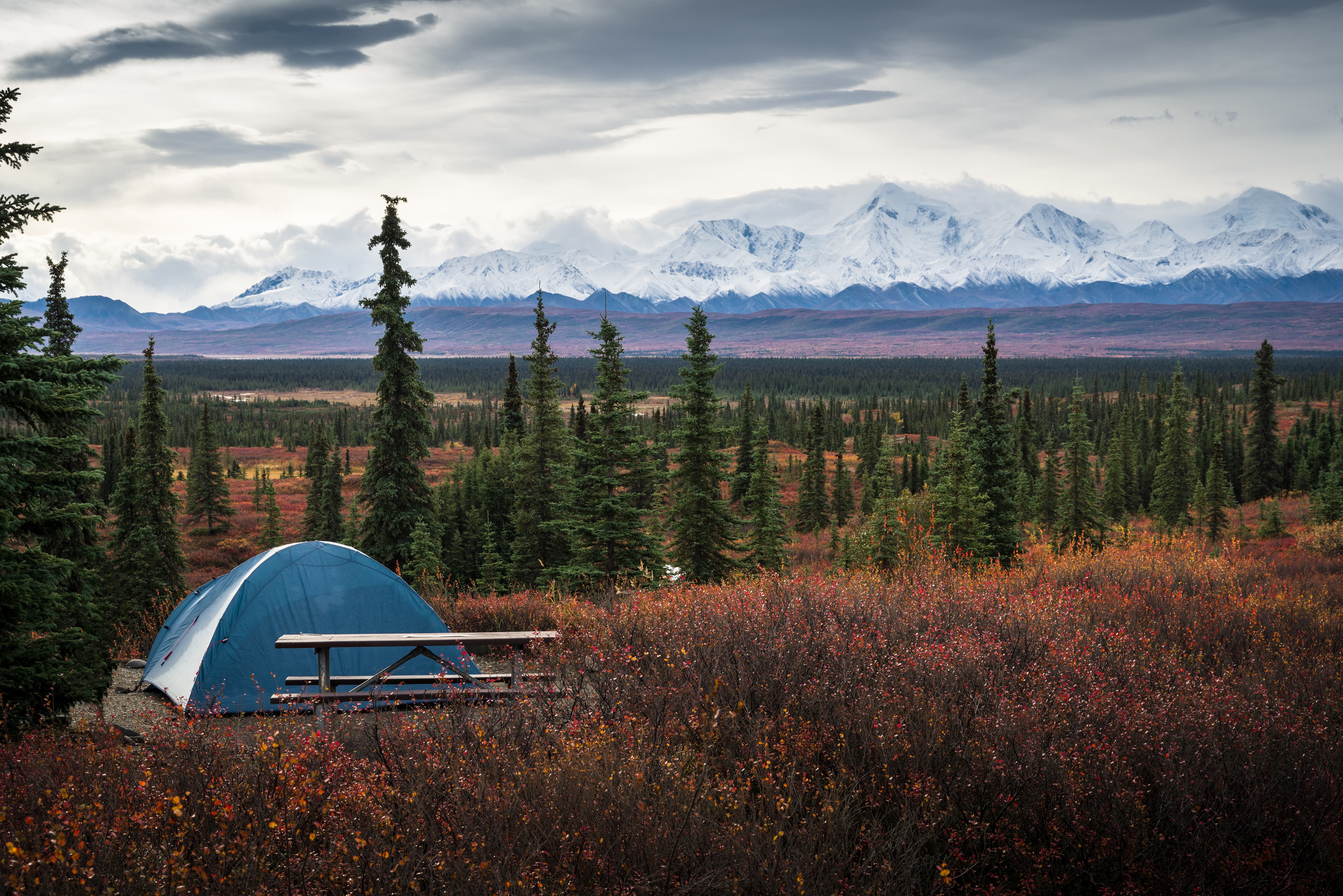 Denali National Park, Alaska