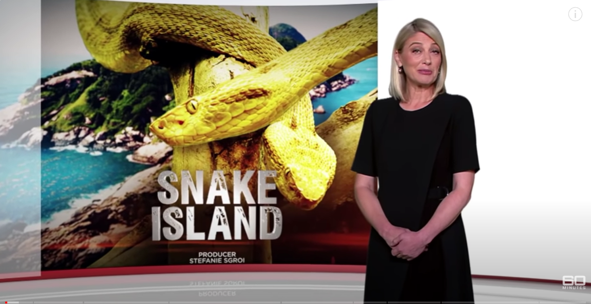 Documentary screen shot of snake island