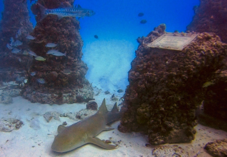 Underwater gravesite