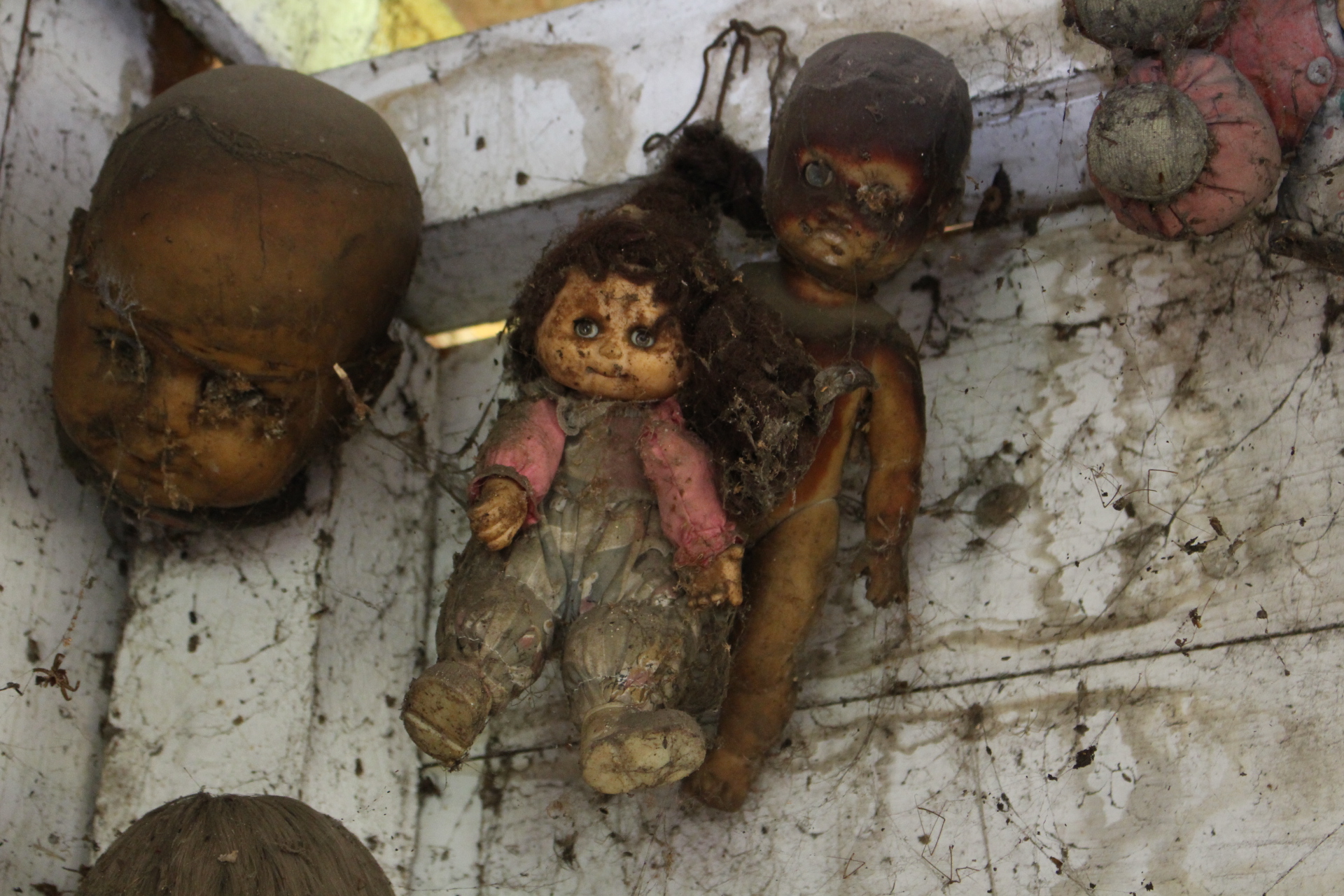 Creepy dolls
