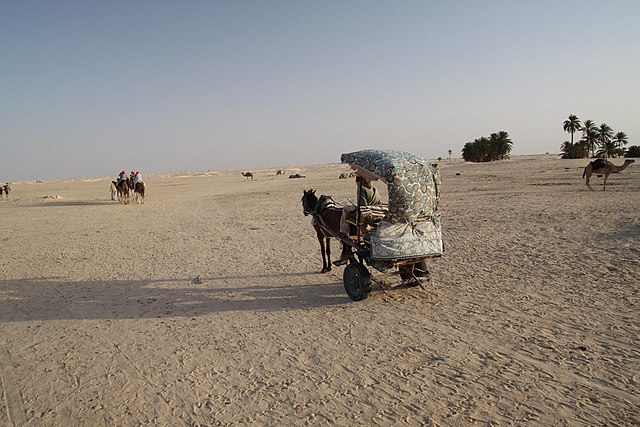 Horse and Cart in Kebili, Tunisia