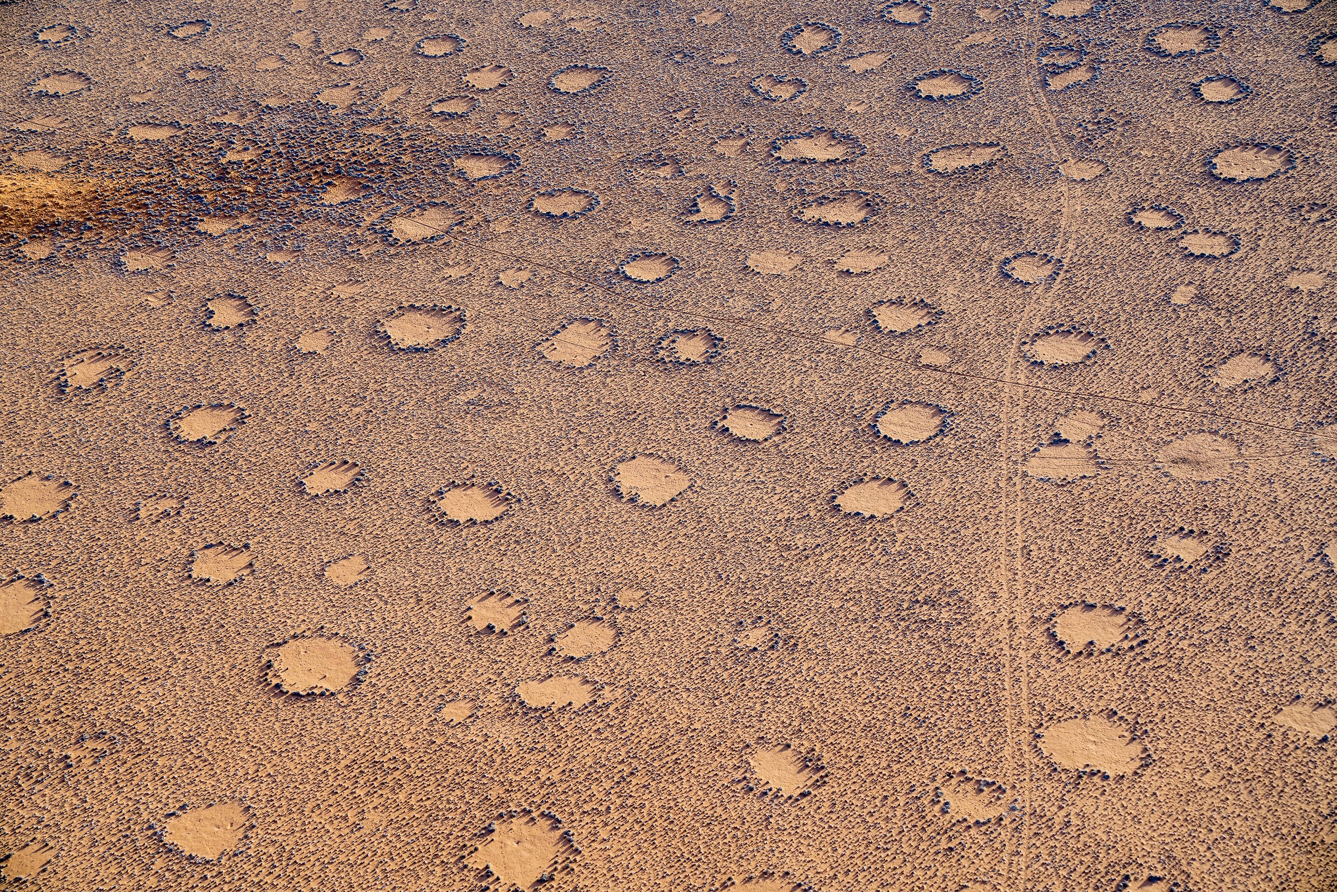 The Fairy Circles Of Namibia