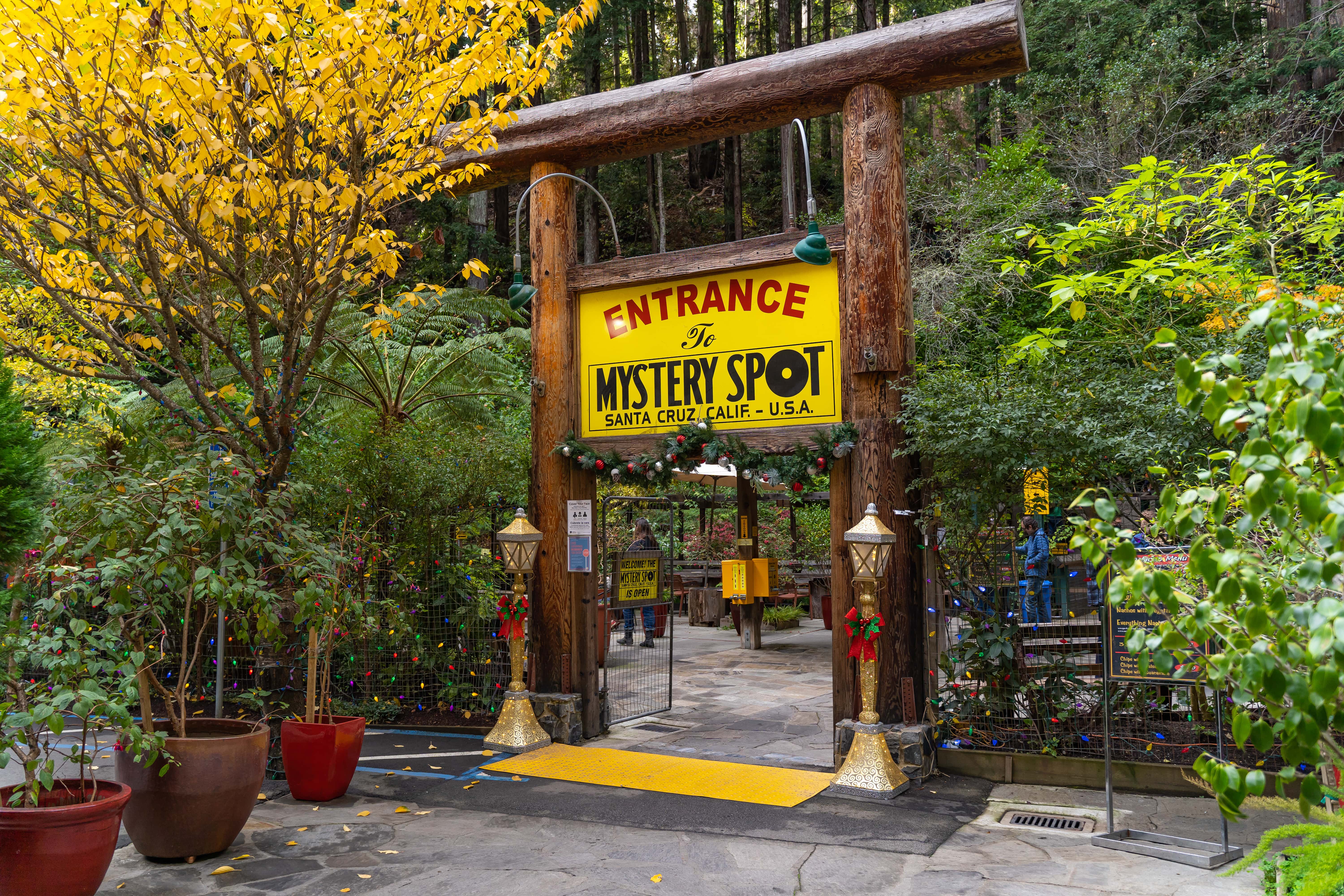 The Mystery Spot, California