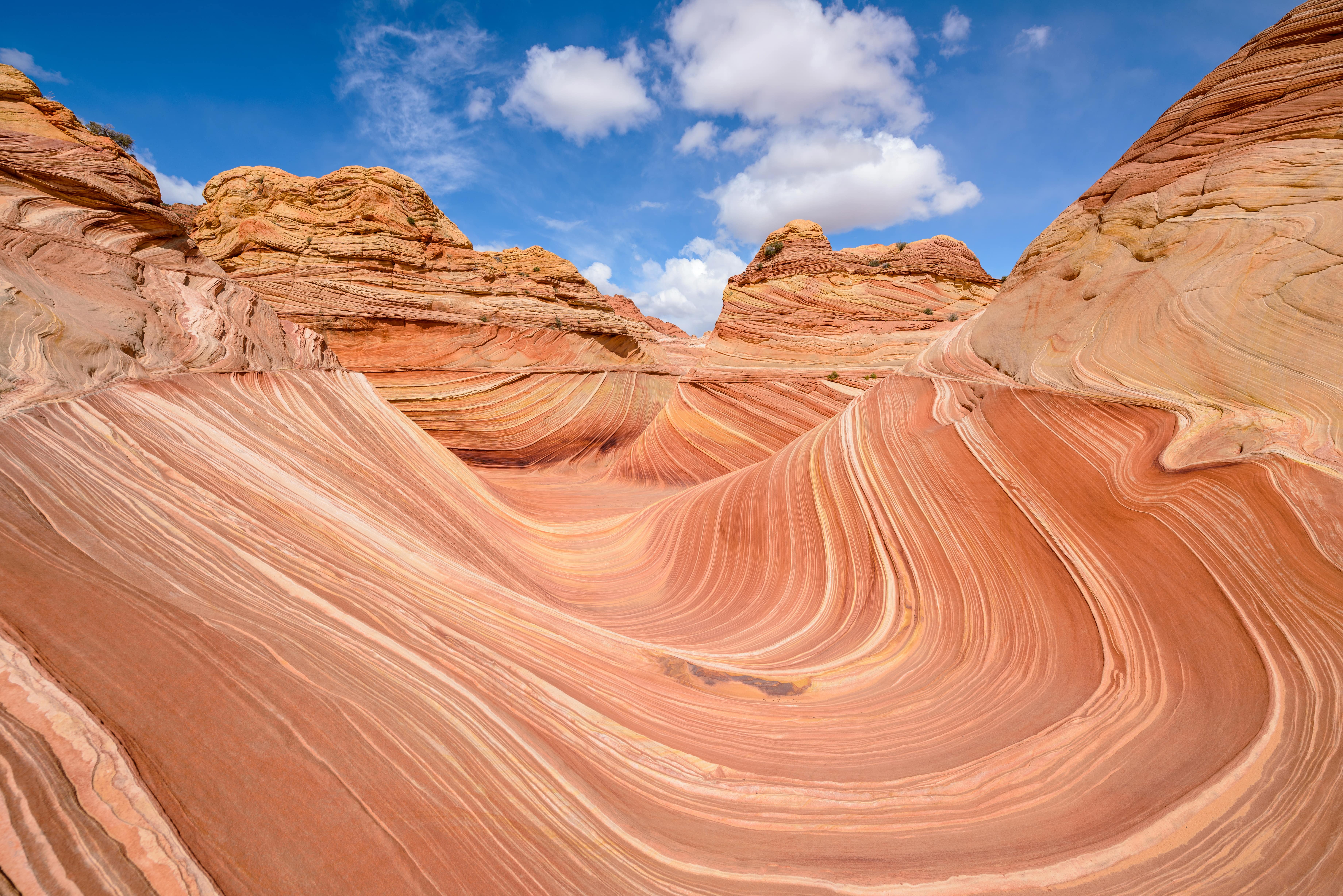 The Wave, Arizona-Utah Border, Usa