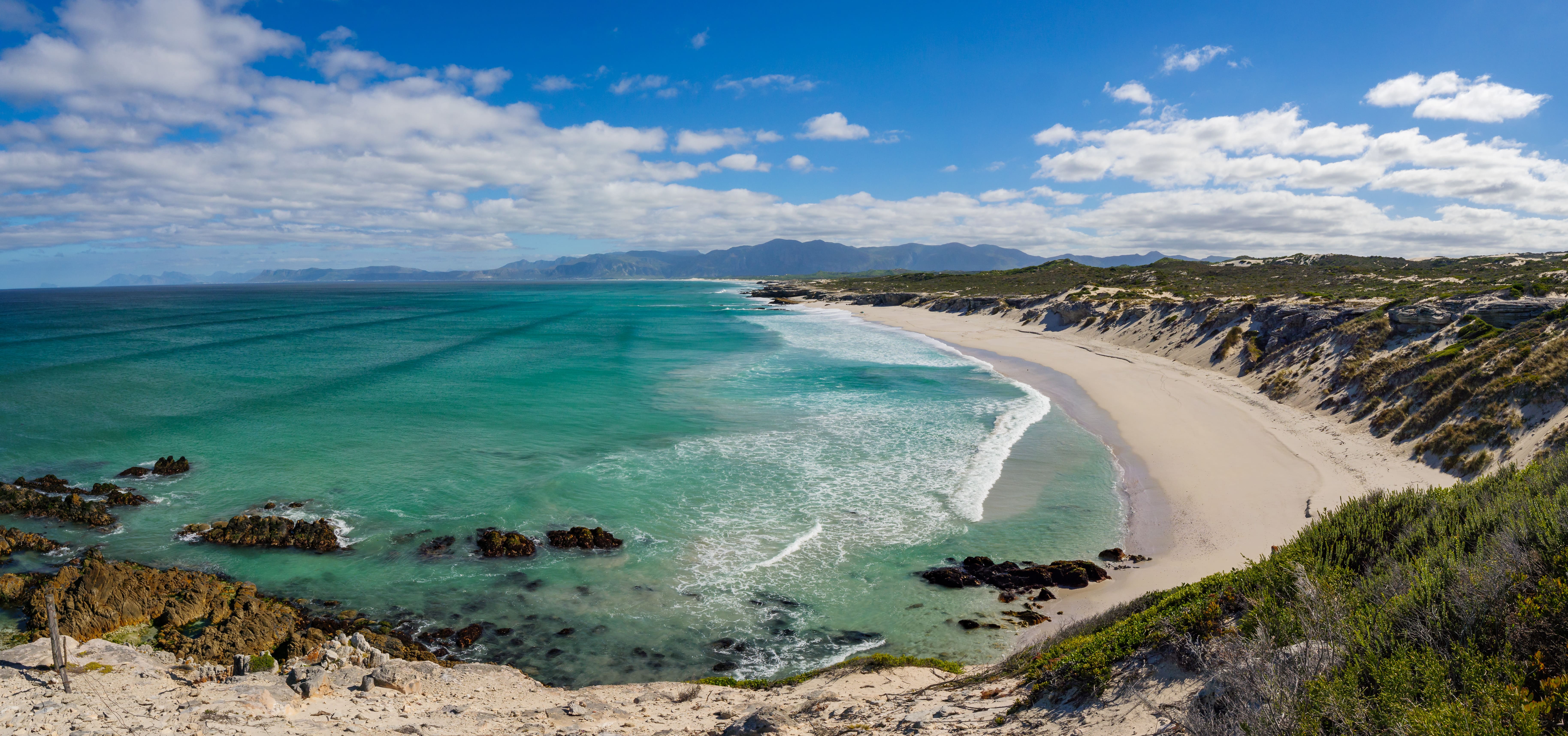 Shark Alley - Beach South Africa