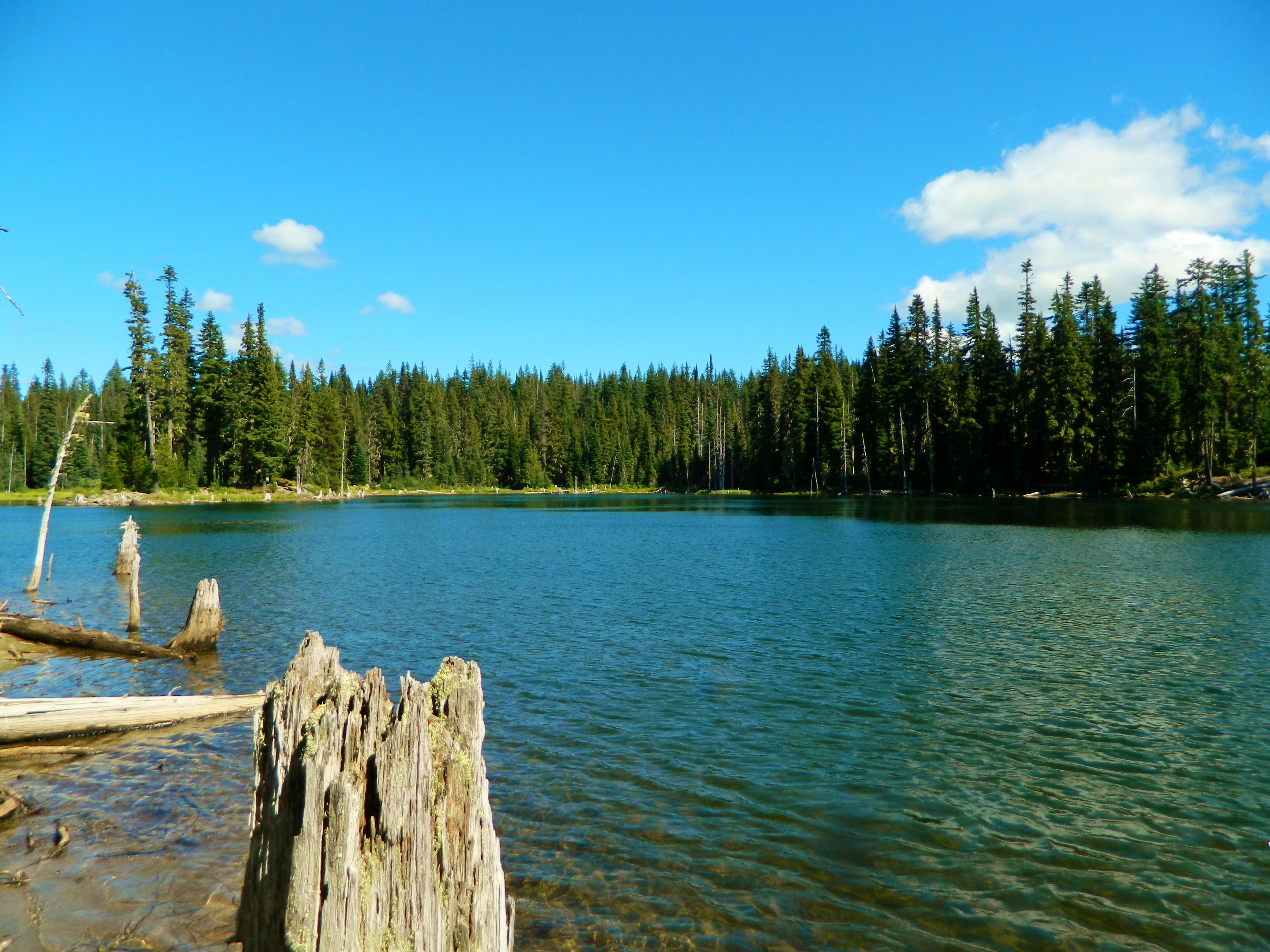 Horseshoe Lake, California