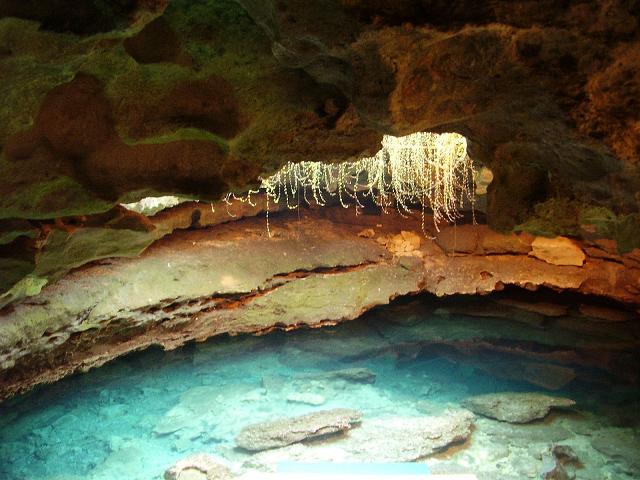 Devil's Den Cave, Florida