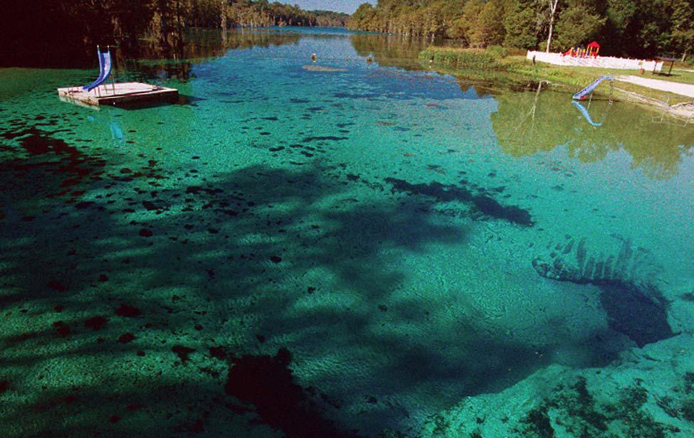 Natural spring in florida