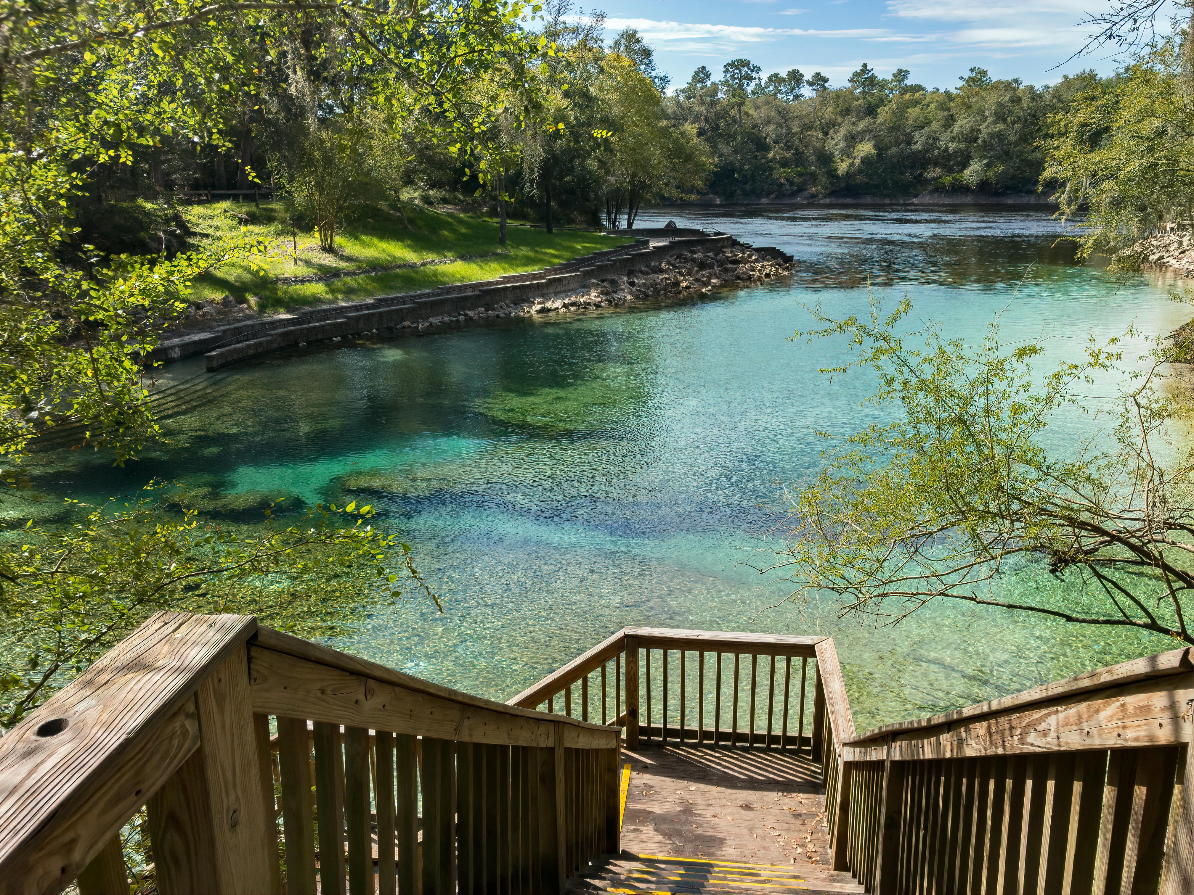 Swimming spring in florida