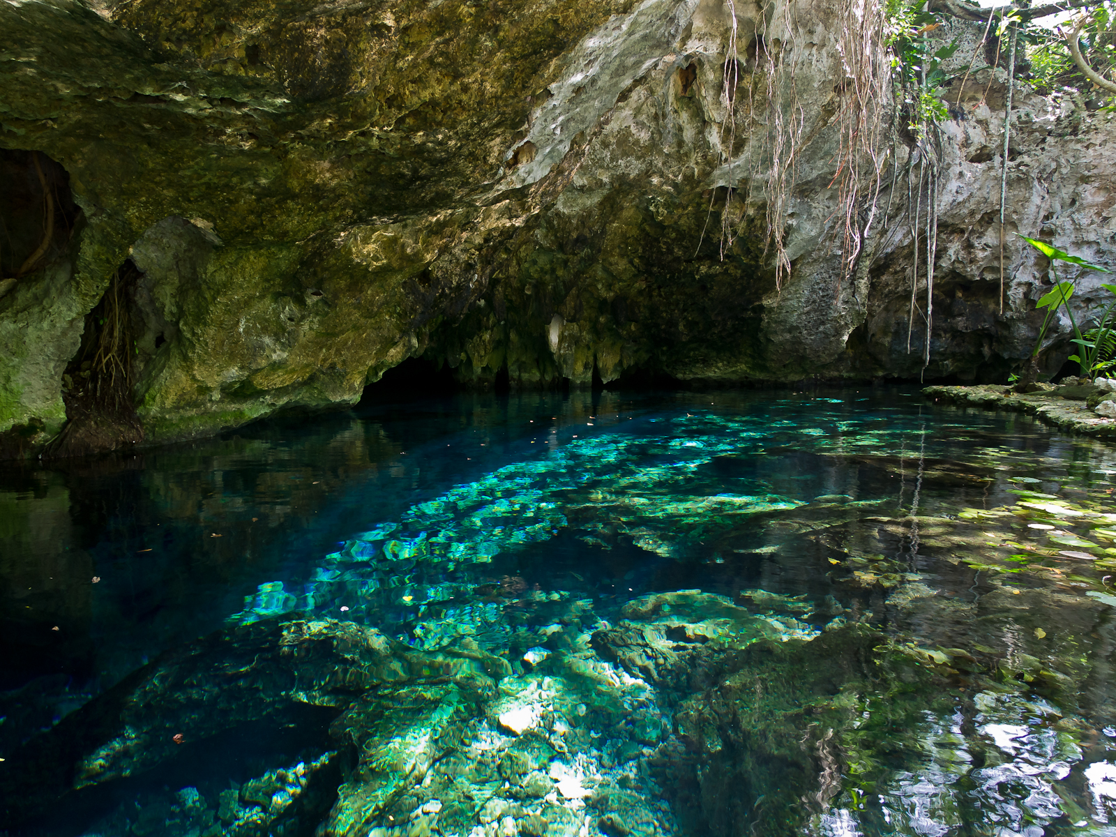 Gran Cenote