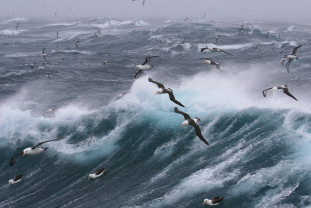 Ocean swells