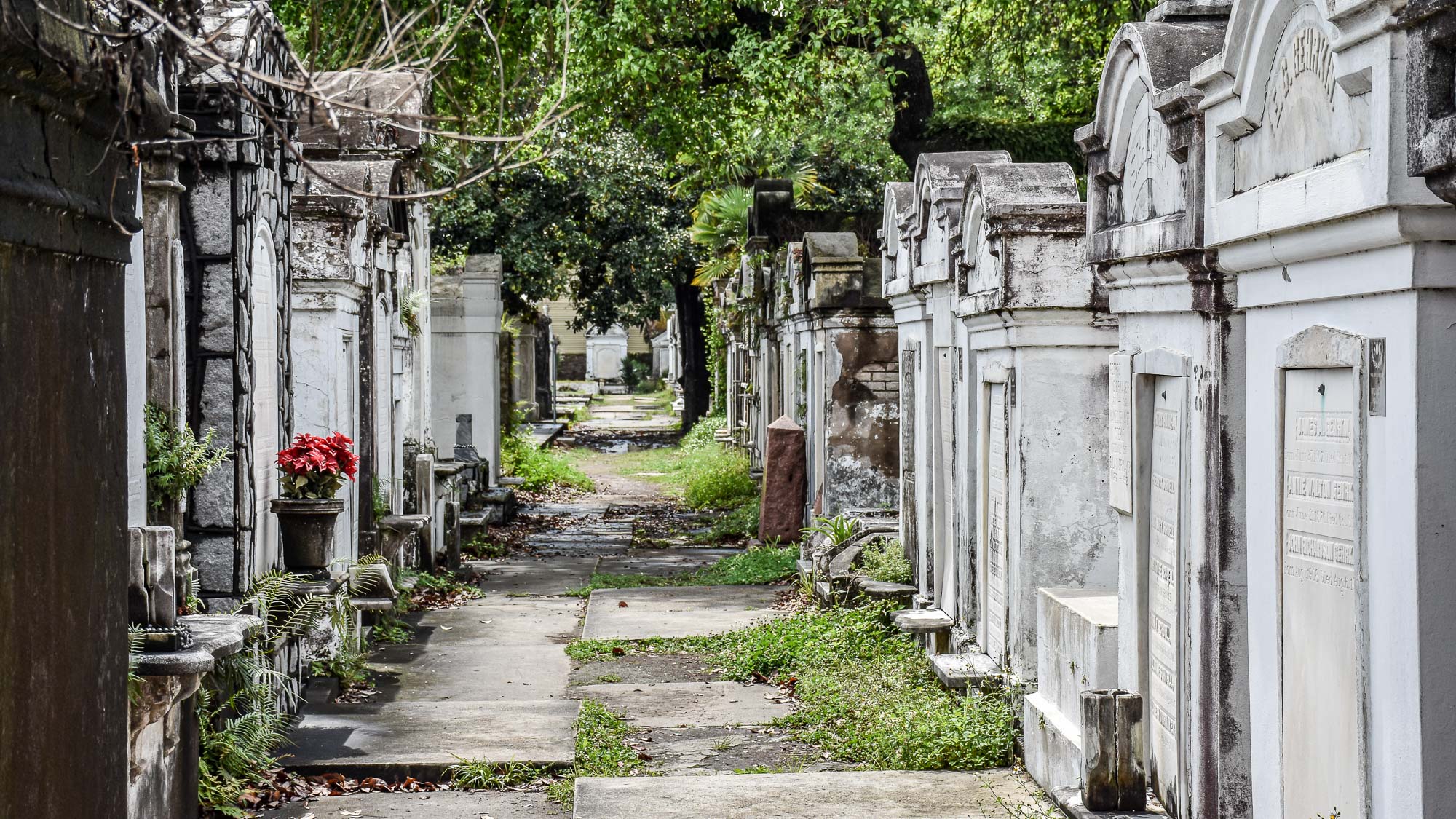 New Orleans Cemetery Tours