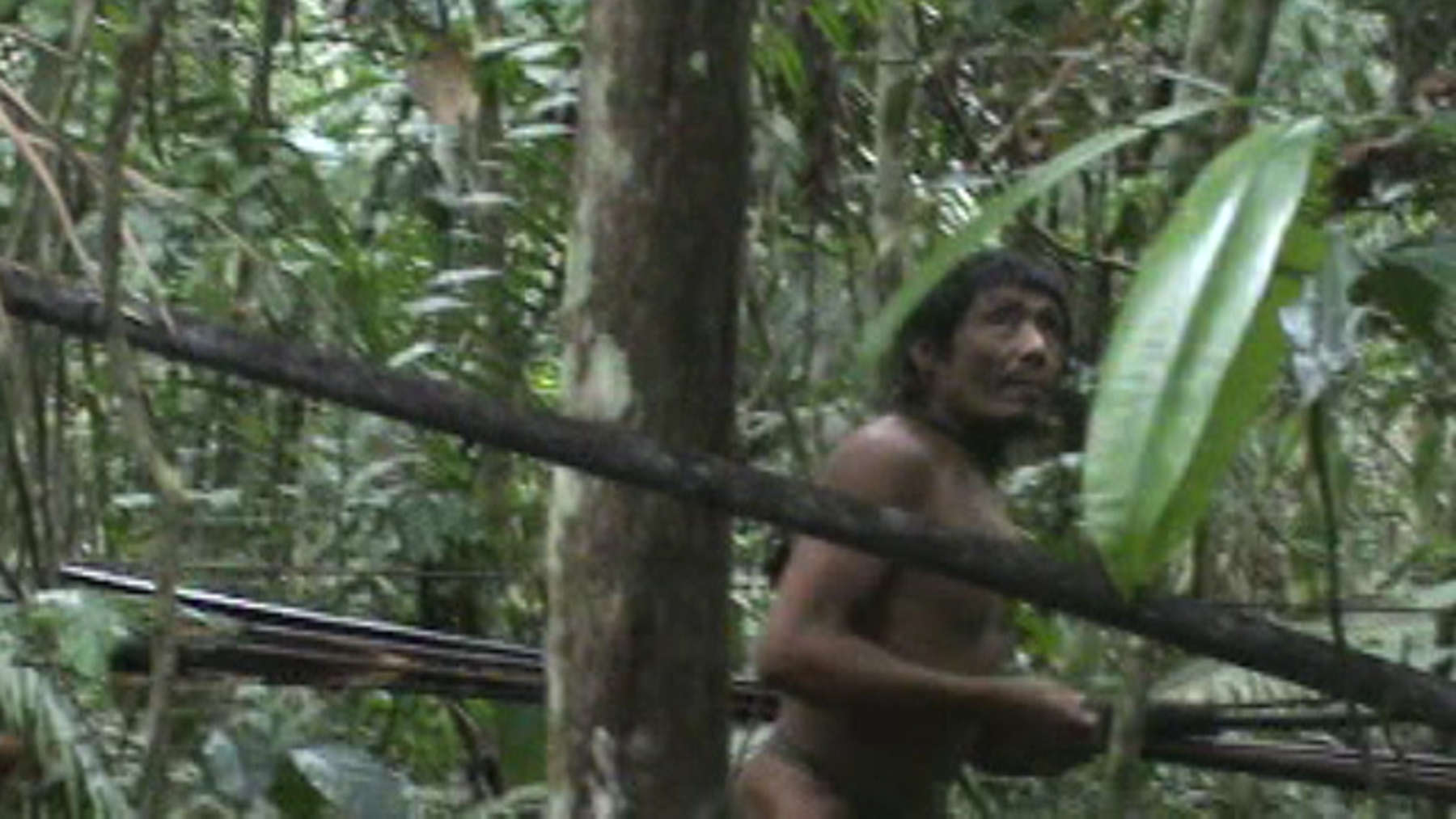 Yanomami tribe