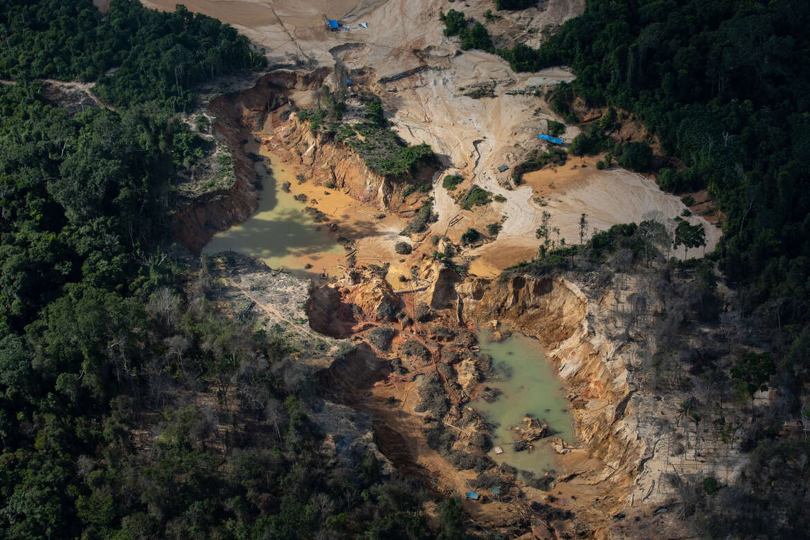 Amazon rainforest tribe goldmining