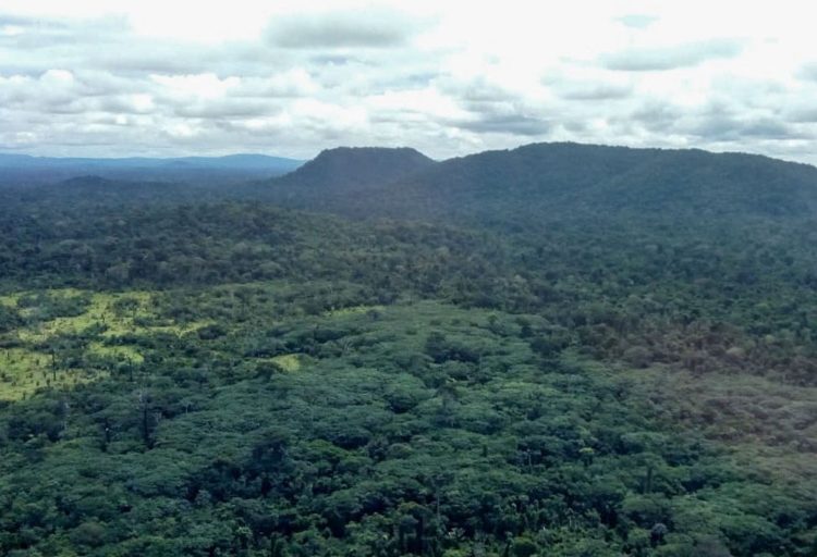 Pardo River Kawahiva Indigenous Territory