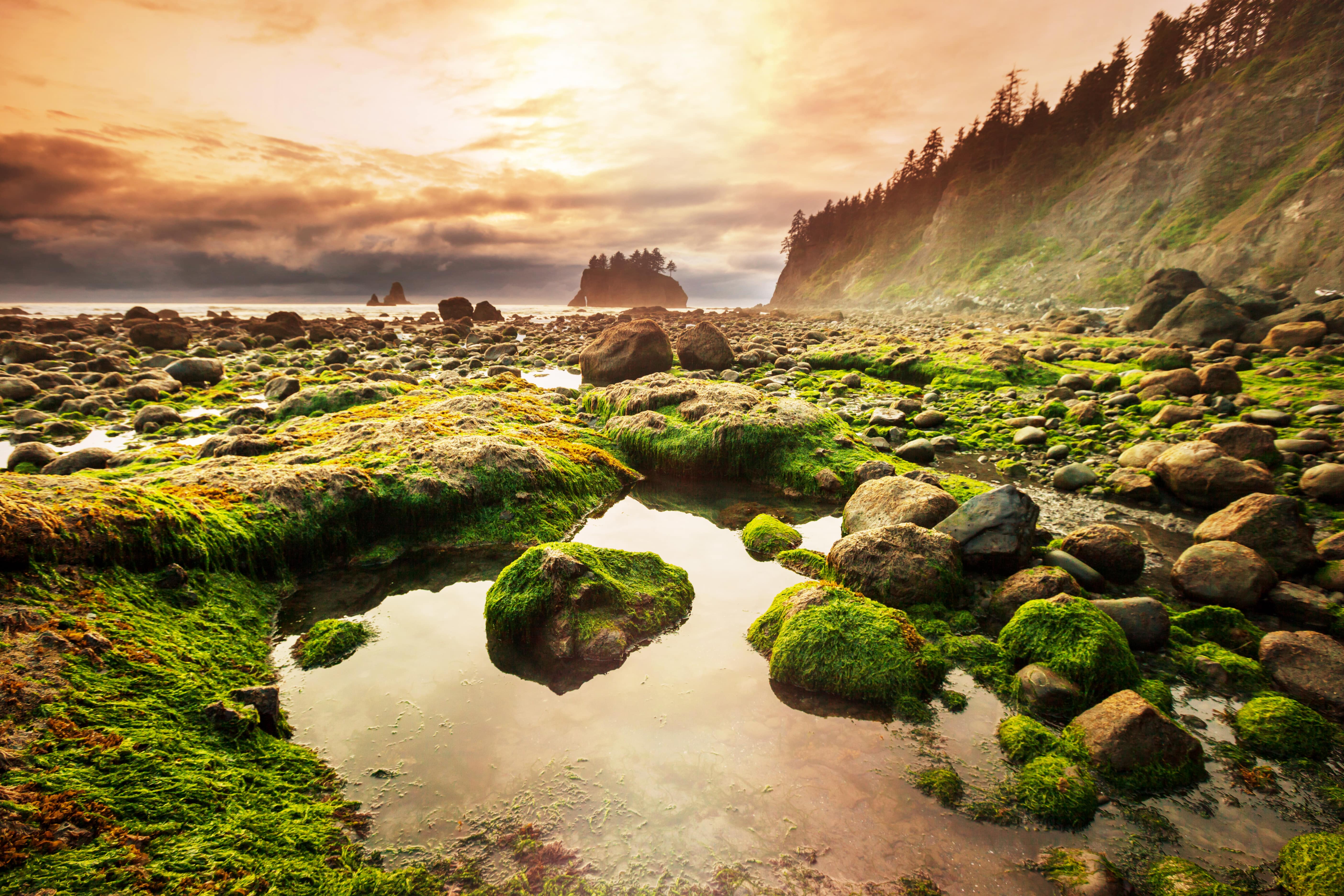 Olympic National Park, Washington