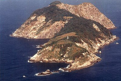 Snake Island, Ilha da Queimada Grande, Brazil