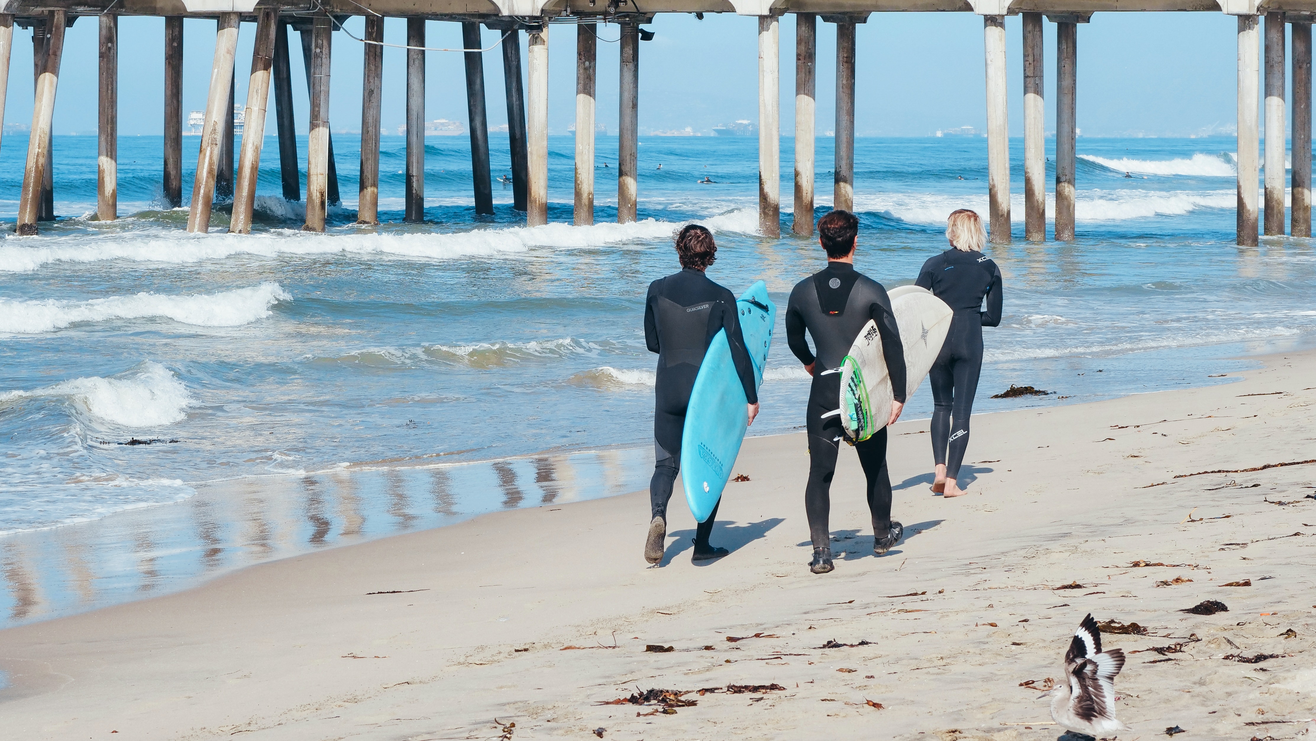A group of surfers at the beach