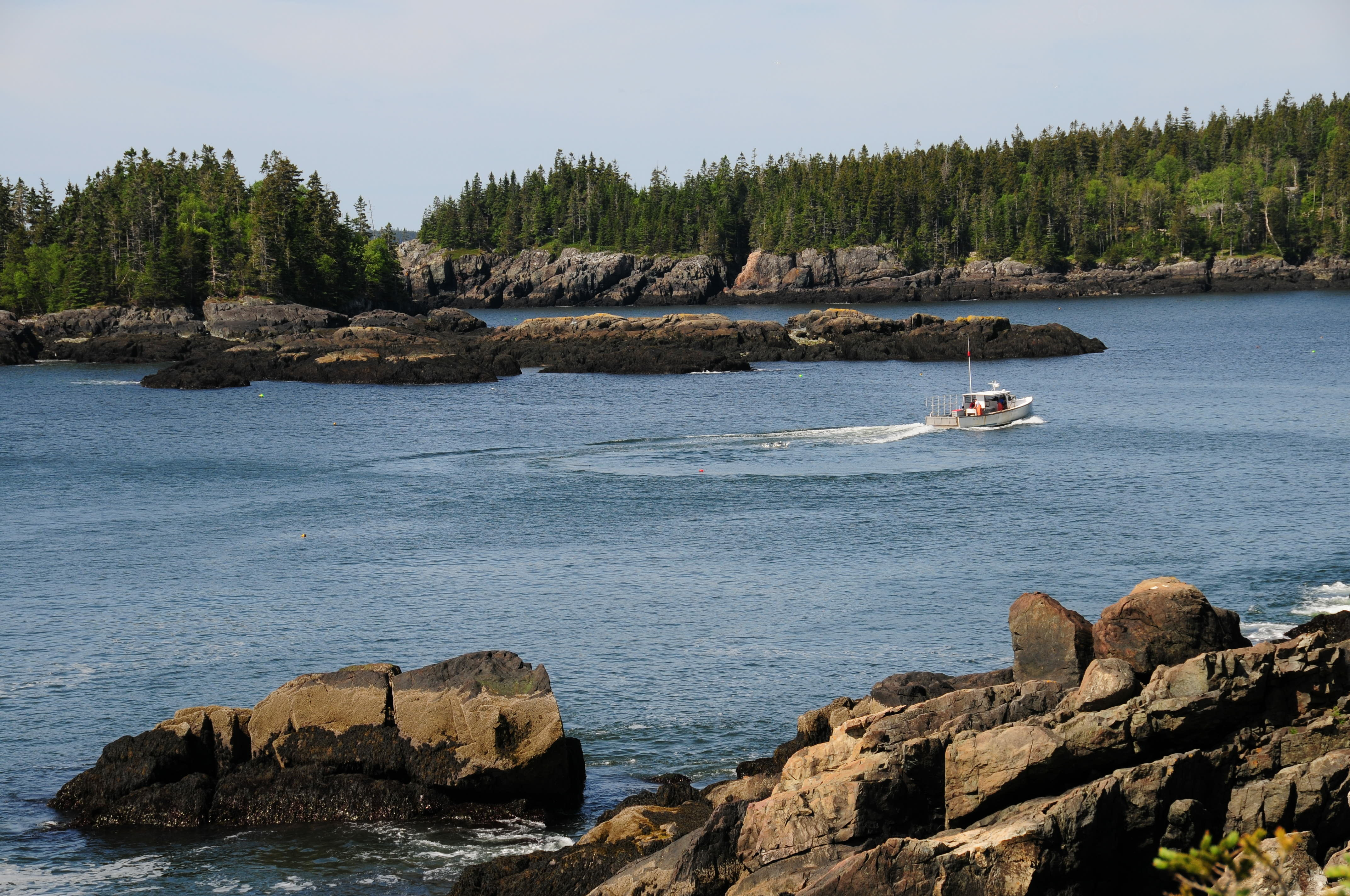 A boat in the water at Roque Bluffs, Maine