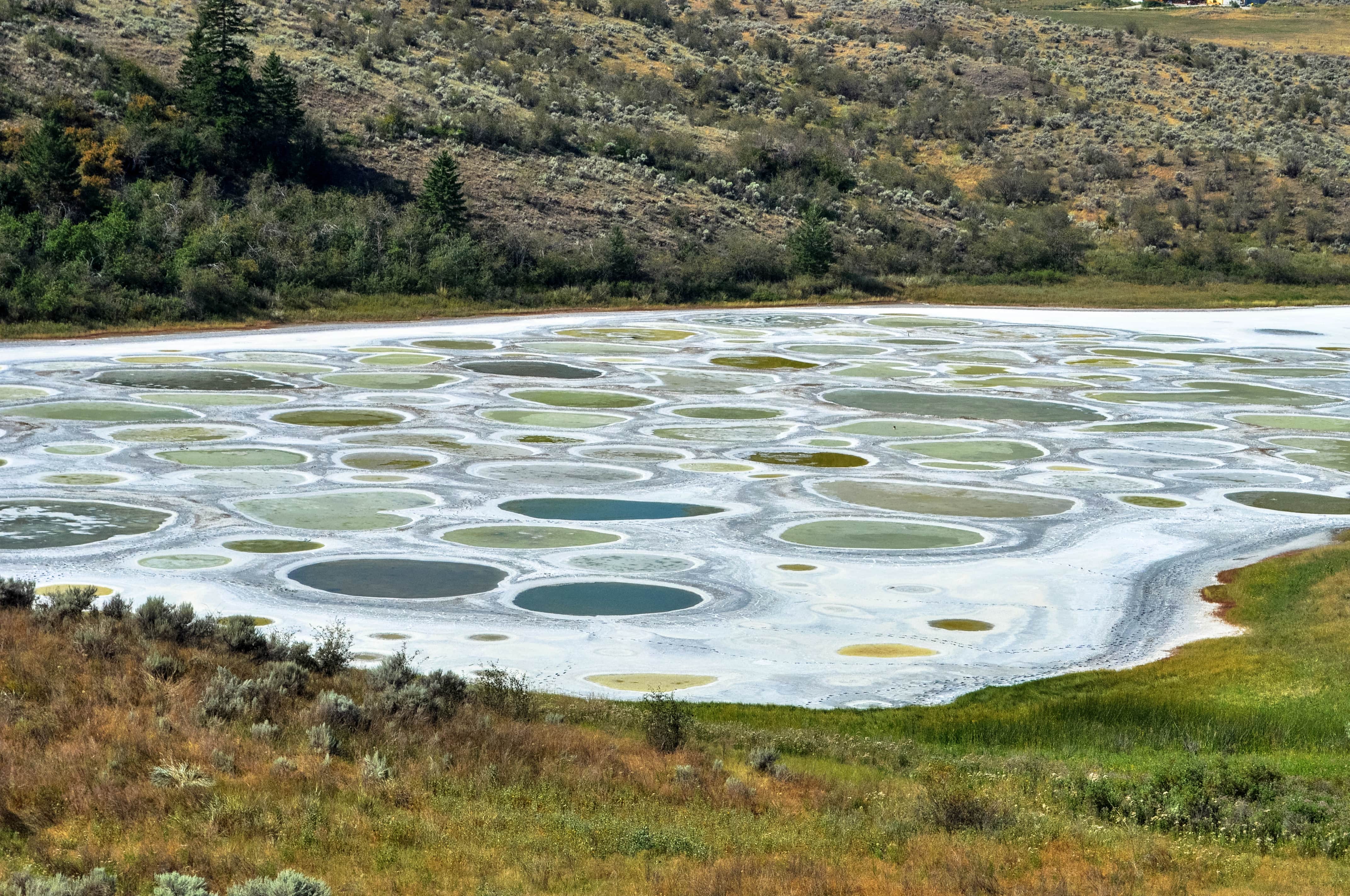 Spotted Lake, Canada