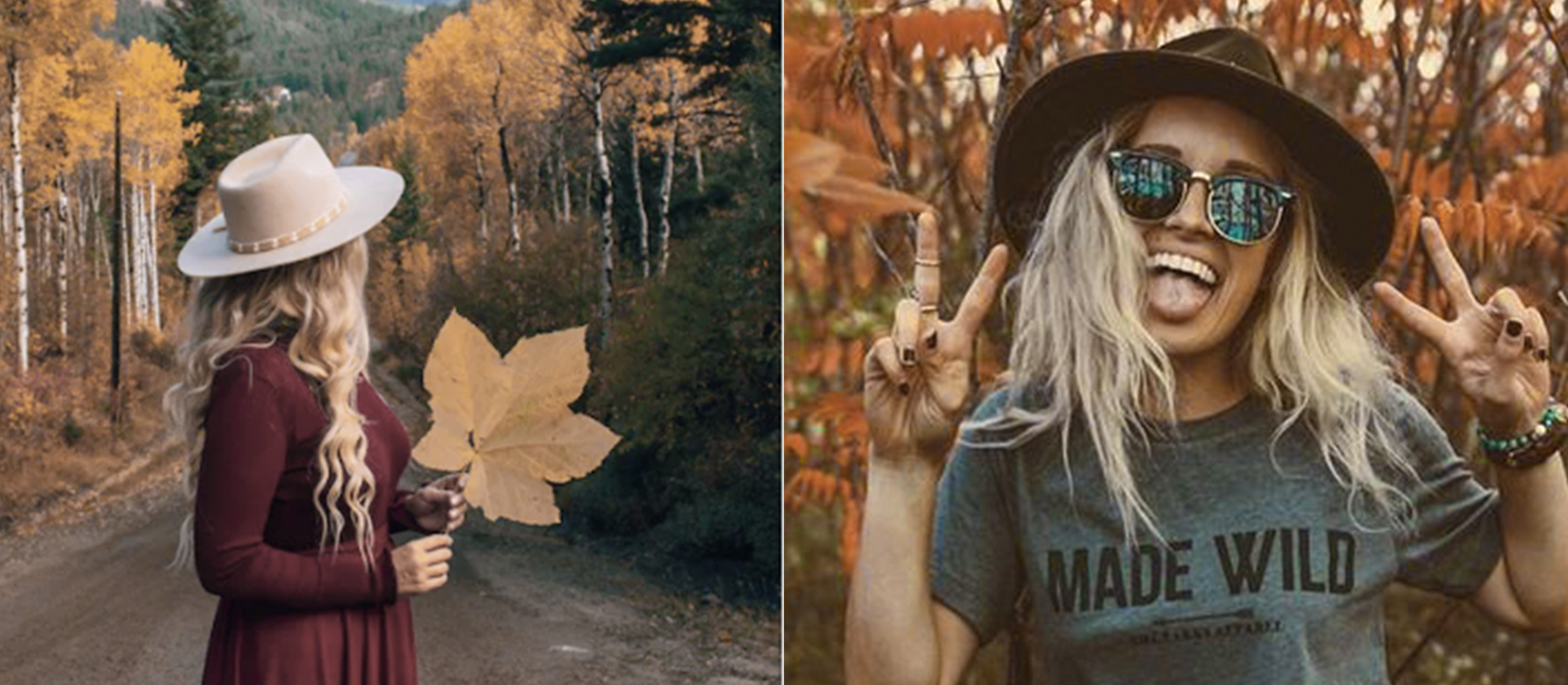 Fall Destinations Split Image 2