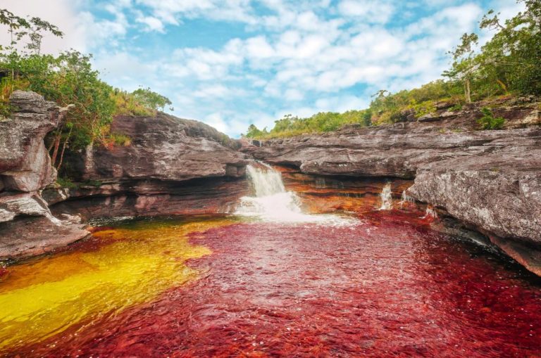 Cano Cristales River