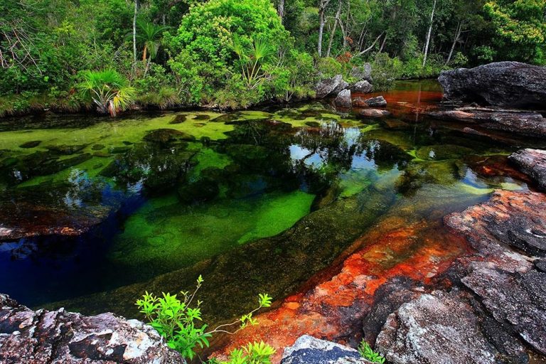 Cano Cristales