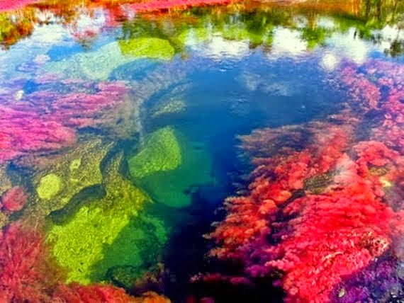 Cano Cristales