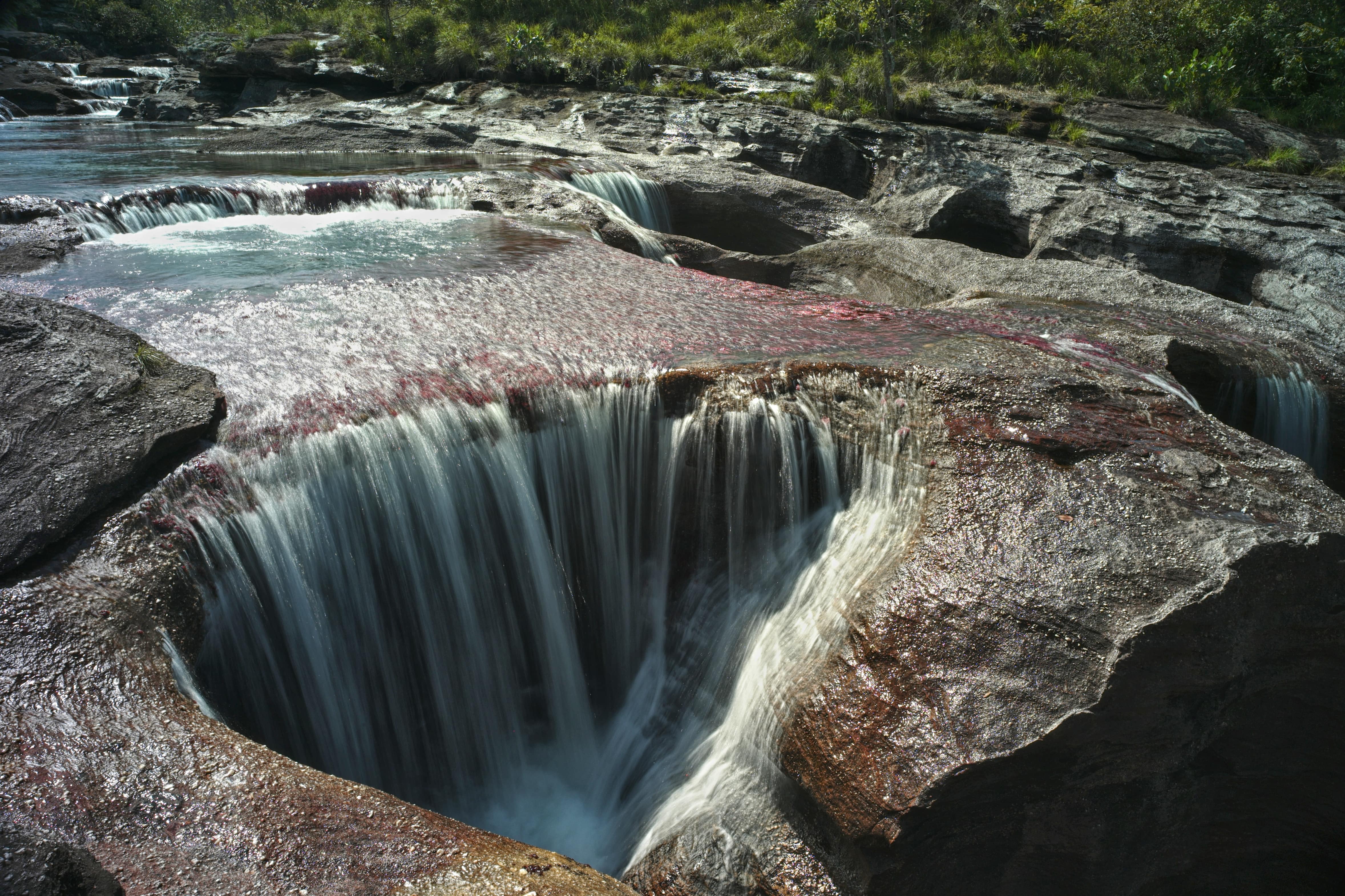 Cano Cristales