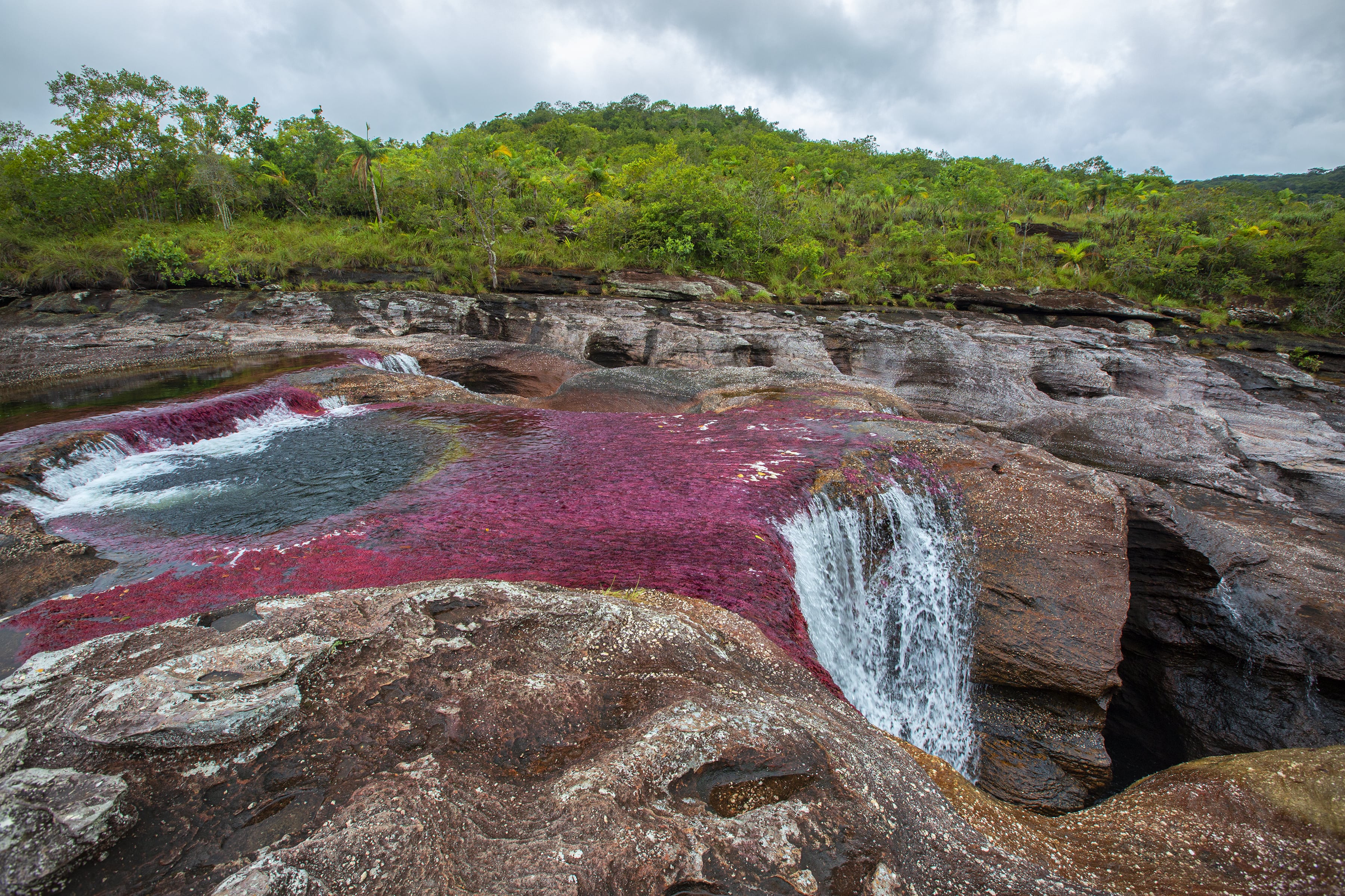 Cano Cristales