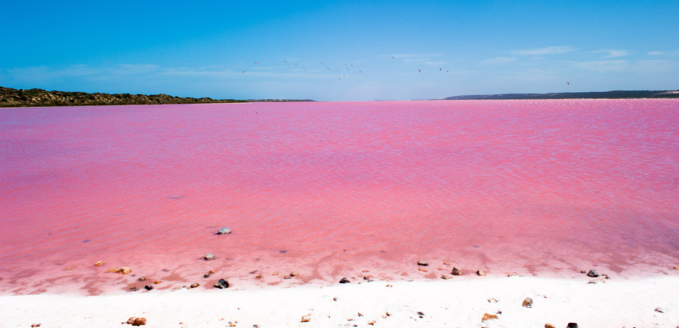 Lake Hillier