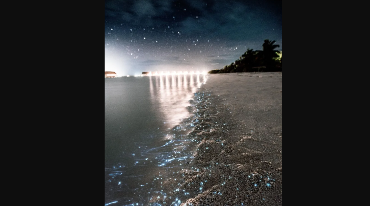 glowing beach