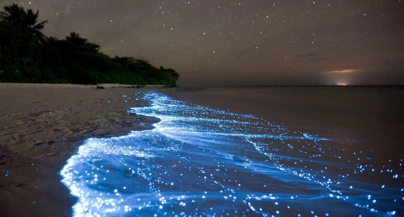glowing beach